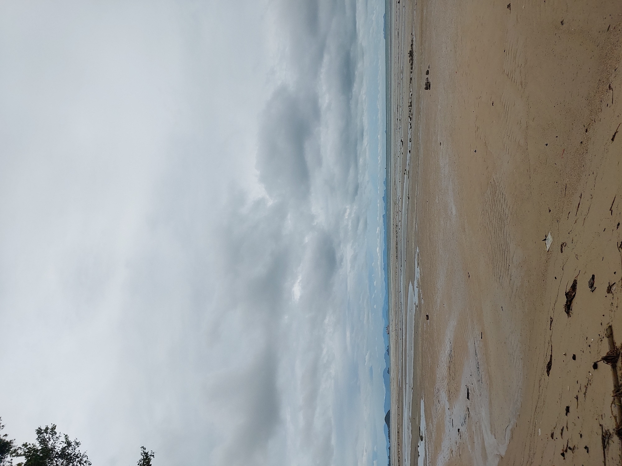 The image depicts a low tide beach scene in Ko Samui District, Thailand. The sky is overcast with a thick layer of gray clouds. The foreground is dominated by wet sand with visible ripples from receding water, interspersed with debris such as dried seaweed and small branches. In the midground, shallow pools of water reflect the cloudy sky, and scattered rocks are visible. Further in the distance, more shallow water extends towards a hazy horizon where several small islands and mountains can be seen. A ship is visible on the water in the far distance. A portion of a leafy tree branch is visible in the upper left corner of the image. There are no people present.