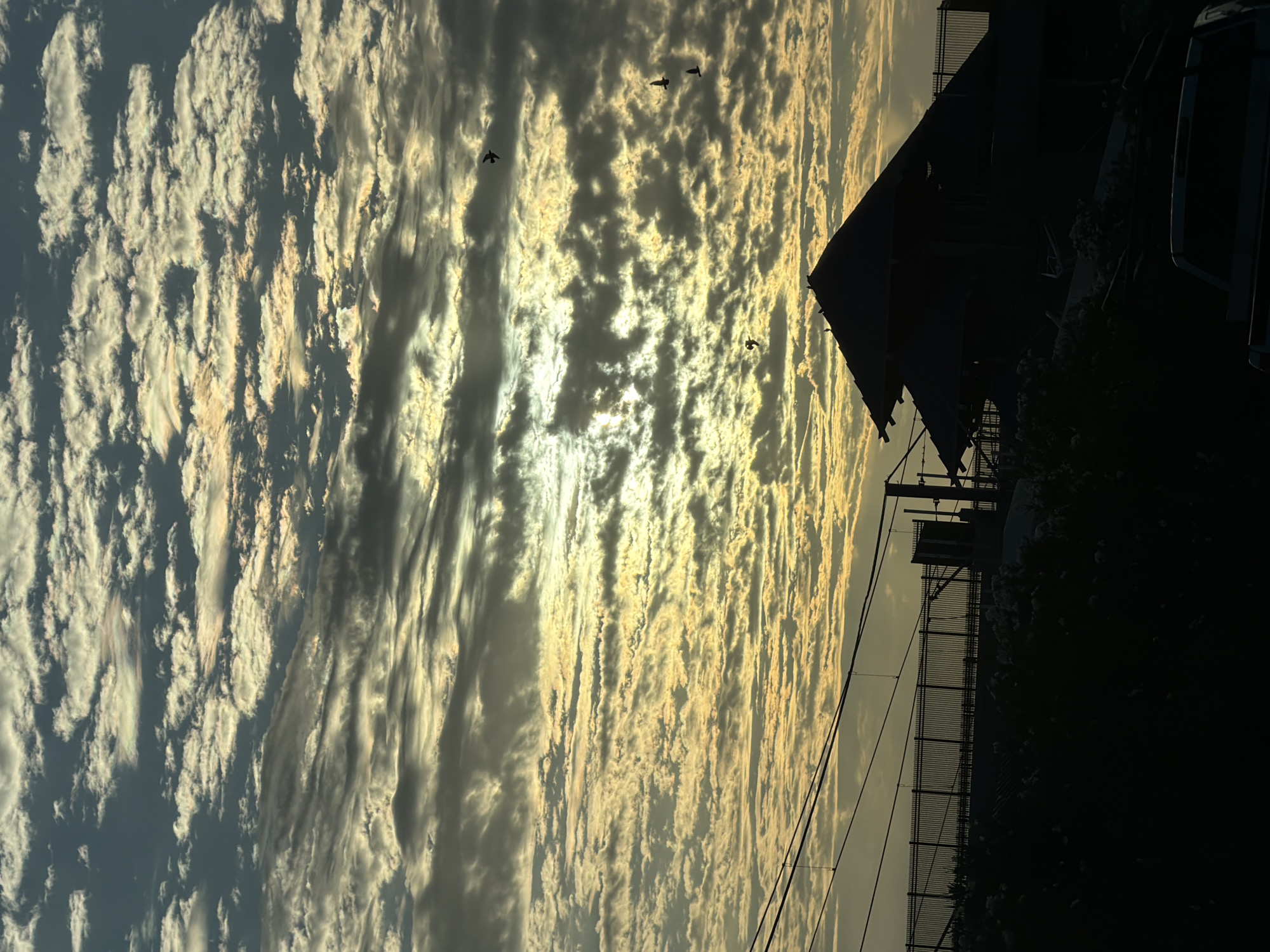 This is a photograph of a silhouetted building and fence against a dramatic sky filled with clouds at sunset or sunrise. The clouds are a mix of dark gray and golden yellow, with streaks of light breaking through. Several birds are visible in flight against the sky. In the foreground, a dark silhouette of a building with a tiered roof is prominent, with a fence behind it. Power lines are also visible stretching across the upper portion of the scene. The overall impression is one of natural beauty and dramatic lighting. The photograph appears to have been taken in North Highlands, United States.