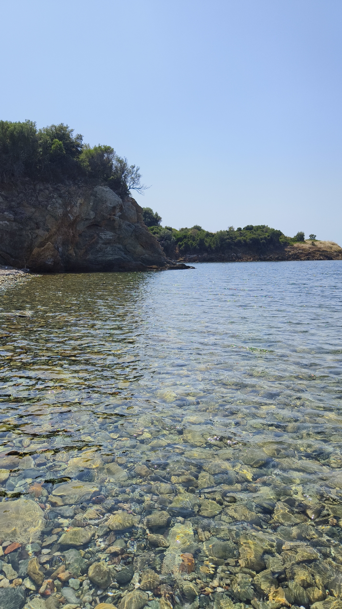 The image depicts a clear, shallow body of water with a rocky seabed, likely the Aegean Sea, bordering the coast of Toroni Municipal Unit, Greece. The water is so transparent that the colorful pebbles and stones beneath the surface are clearly visible, with sunlight creating shimmering reflections. To the left, a rocky cliff rises, covered in dense green foliage. Beyond the cliff, the coastline continues, characterized by low-lying green vegetation and a few scattered trees. The sky above is a clear, cloudless blue. No people or man-made objects are visible in the frame, emphasizing a natural, untouched coastal landscape.
