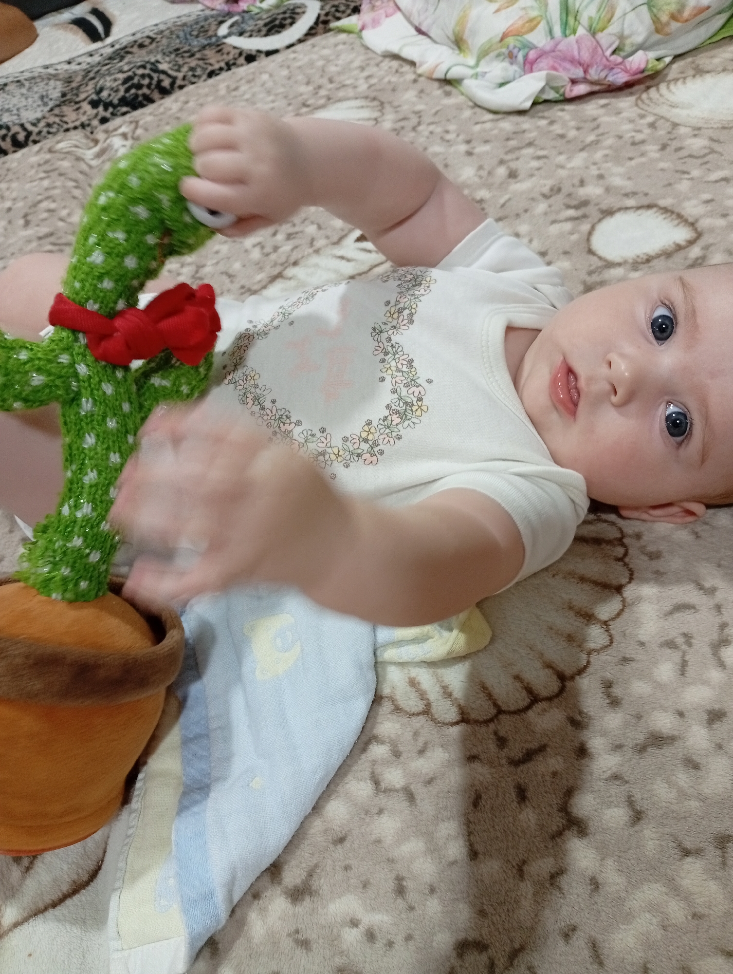 A baby is lying on a patterned blanket and is holding a toy cactus. The baby is wearing a white onesie with a floral design around the neckline. The toy cactus is green and has a red ribbon tied around its base. A plush brown pot sits next to the cactus. The baby's hands are blurred due to movement. A light blue towel is folded underneath the baby. The background shows a beige blanket with a darker, abstract pattern and a floral fabric in the upper right corner. The scene appears to be indoors.