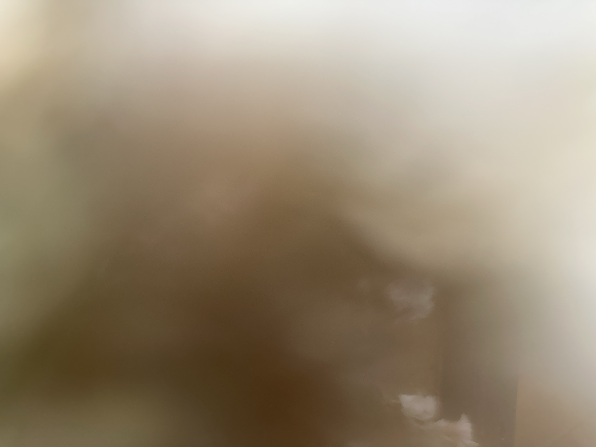 This is a highly blurred, abstract image with a predominantly muted color palette of browns, beige, and off-whites. There are no discernible subjects such as people, specific objects, or a clear scene. The image appears to be an abstract play of light and shadow, with soft, undefined shapes and textures. Some areas are brighter, suggesting light sources, while others are darker and more muted. There are a few lighter, cloud-like or smoky formations visible, particularly in the right half of the image.
Due to the extreme lack of detail and focus, it is impossible to determine any activity or event taking place. There are no visible clues about the time of day, weather, or specific location. The overall impression is one of softness and haziness, lacking any strong emotional cues or narrative elements. No text is visible in the image. The provided location context of Belgrade, Serbia, does not offer any specific visual information to interpret from the abstract nature of the image.