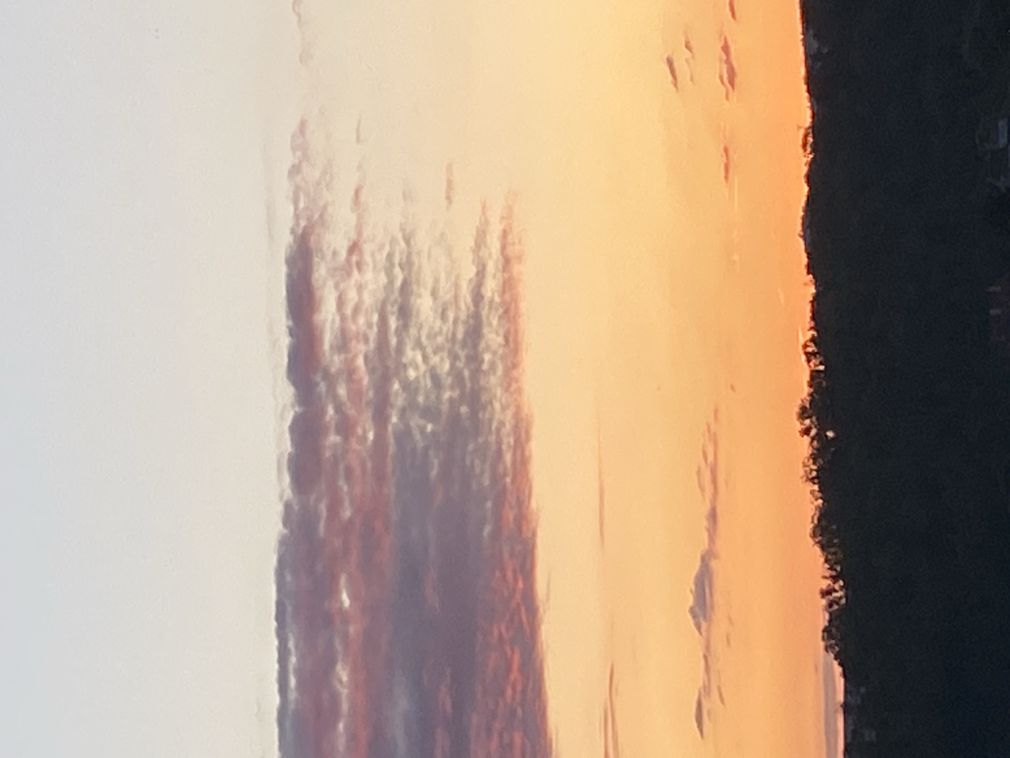 This is a photograph of a sunset over Bílina, Czechia. The sky displays a gradient of colors, from pale white at the top to a vibrant orange near the horizon. Wispy clouds, tinged with pink and purple, are visible in the upper half of the image. The lower portion of the frame is dominated by the dark silhouette of a forested hill. The foliage along the hilltop is dense and irregular, with some lighter areas indicating where the setting sun is breaking through the trees. Faint outlines of buildings can be discerned at the very bottom of the image, suggesting a residential area at the base of the hill. The overall impression is one of a peaceful evening landscape.