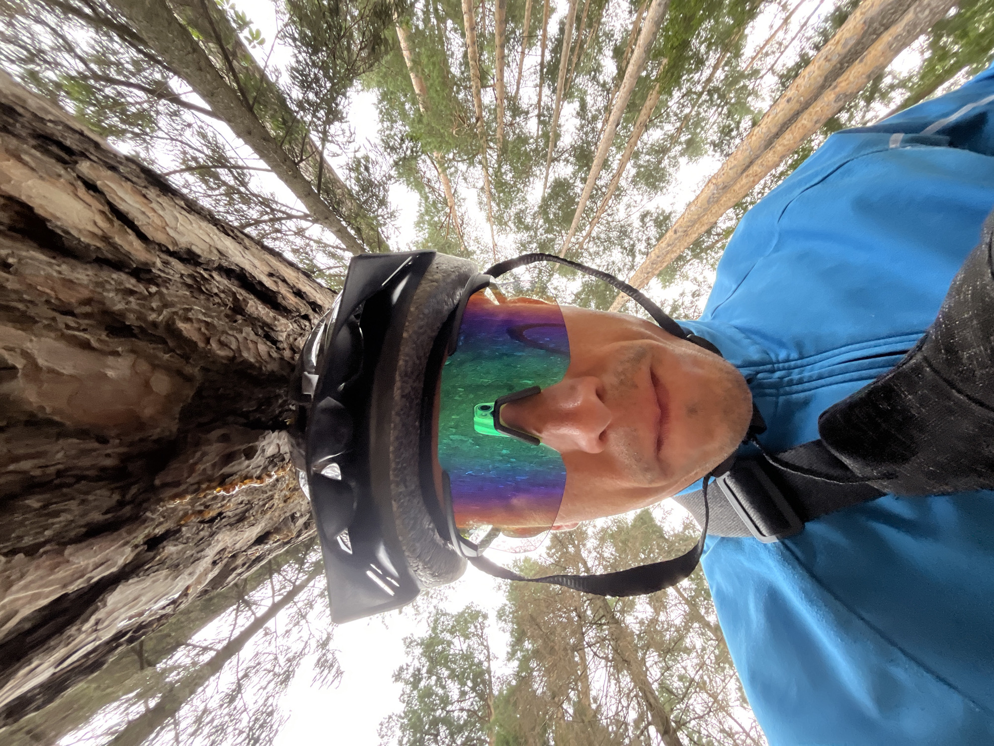 A low-angle, wide-angle selfie shows a person wearing a black cycling helmet and iridescent cycling glasses. The person is wearing a blue jacket and a black strap across their chest. The background consists of a very large tree trunk with rough bark, and tall, thin pine trees with green needles reaching towards an overcast sky. The scene appears to be in a forest, likely on a trail, and could be located in the city of Chaikovsky, Russia, given the context provided.