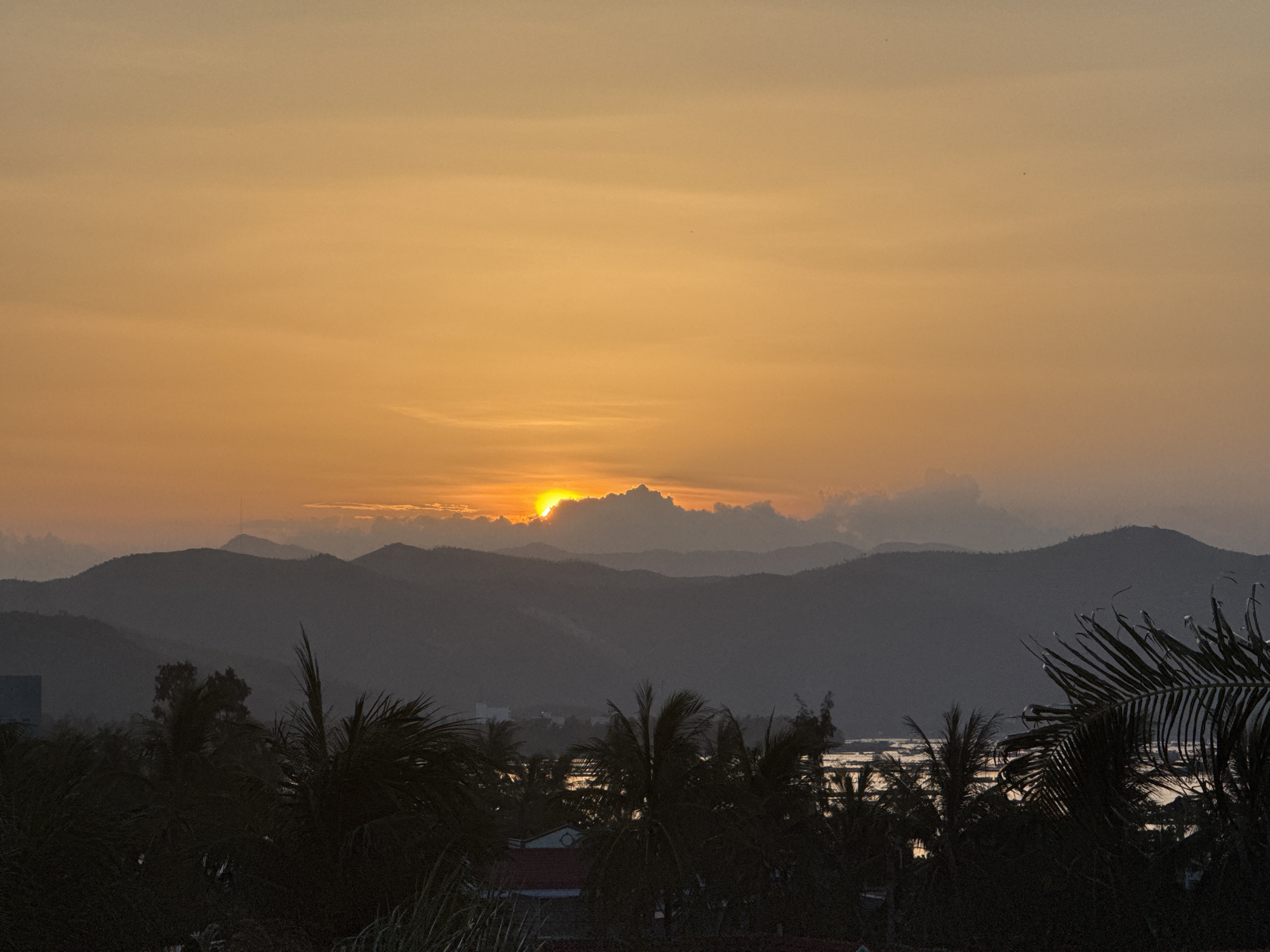 A panoramic view captures the warm, orange glow of a sunset over the city of Song Cau, Vietnam. The sky is filled with soft, horizontal clouds, streaked with lighter shades of orange and yellow. The sun, a bright orb, is partially obscured by a thick, dark cloud layer situated behind a series of silhouetted mountain ranges. The mountains are layered, with the closest appearing darkest and the farthest fading into the hazy sky. In the foreground, the dense foliage of palm trees and other tropical plants creates a dark, shadowy silhouette, with the leaves of a large palm frond prominently displayed in the lower right corner. Through gaps in the foliage, hints of buildings and what appears to be a body of water reflecting the sunset can be seen. A single, thin tower structure is visible on the peak of one of the farthest mountains. No people or animals are visible in the scene.