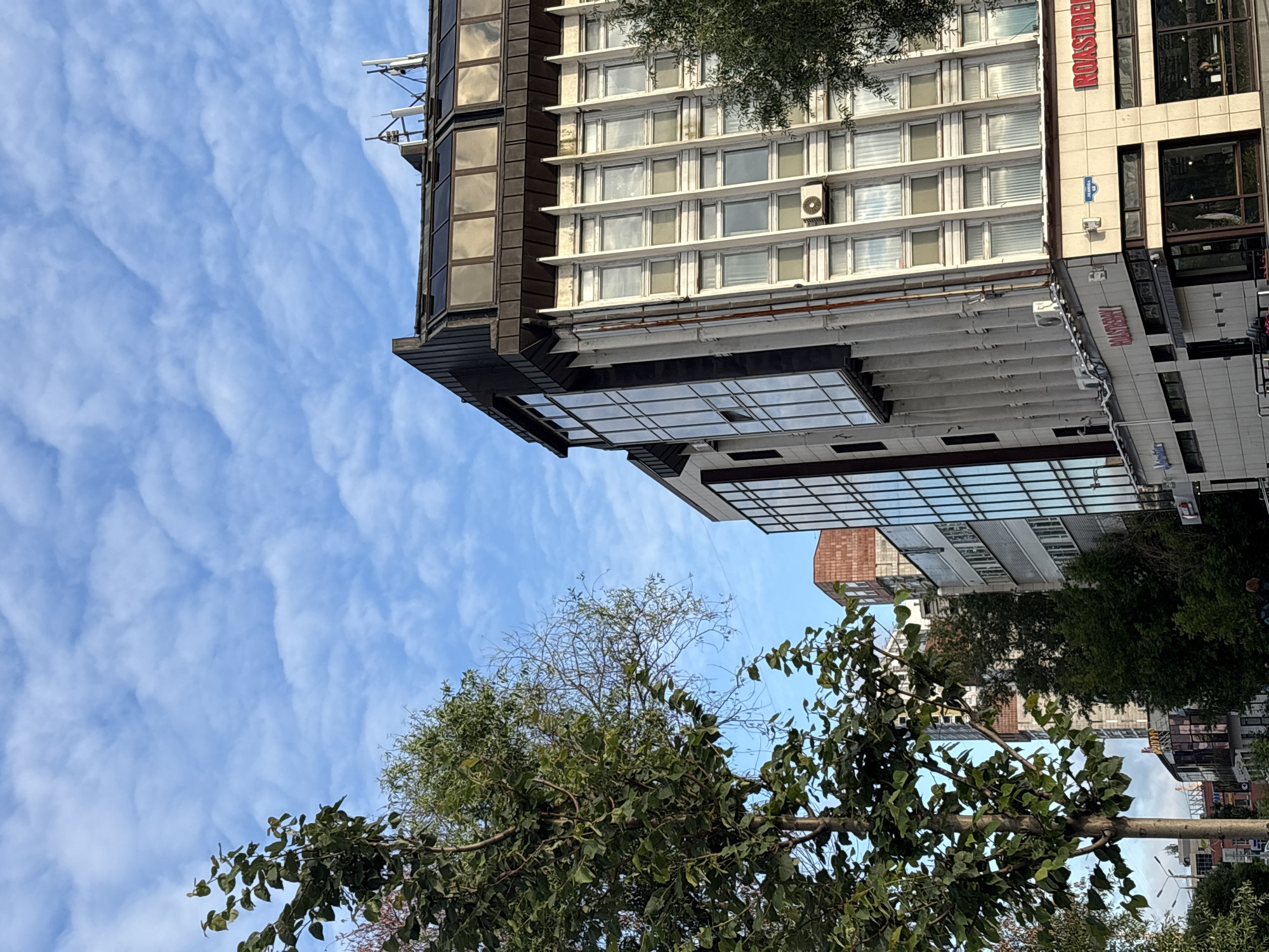 This is a medium-shot, eye-level, outdoor photograph taken from a street-level perspective looking upwards at buildings and trees against a blue sky with scattered white clouds. In the foreground, a tree with dark green leaves dominates the left side of the frame. Behind the tree, a modern, multi-story building with a facade of light-colored panels and numerous windows is visible. The building has a dark, angled roof with glass panels. Further in the background, other buildings of varying heights and architectural styles can be seen, including one with a reddish-brown brick facade. Street lights are visible in the lower left portion of the image. The building in the middle ground, on the corner, has signs that appear to read "ROASTBERRY" in red lettering. The overall scene depicts an urban environment. The image location is the city of Perm, Russia, specifically on Komsomolsky Prospekt.