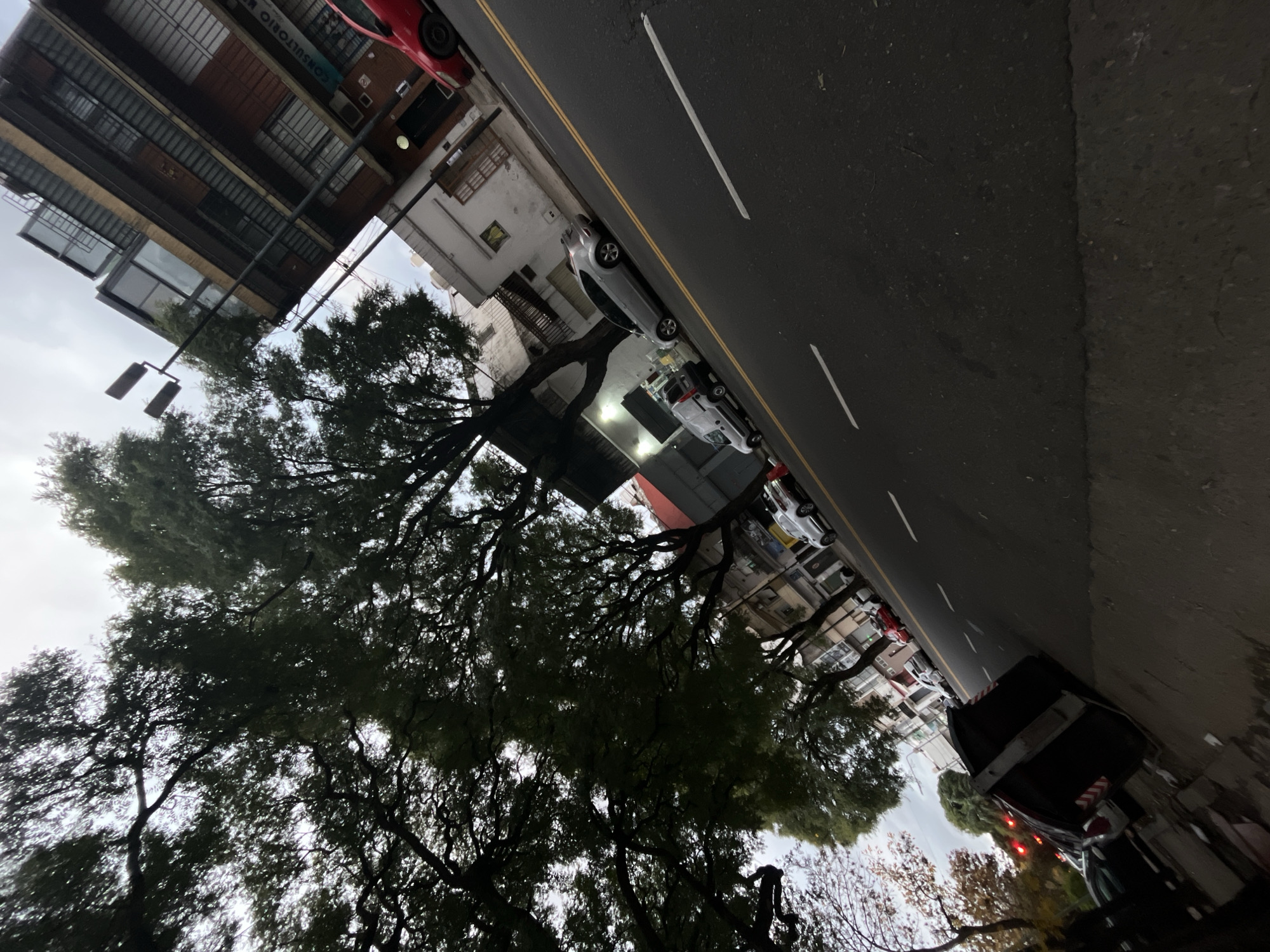 The image depicts a street in Buenos Aires, Argentina. A tree with dense foliage dominates the left side of the frame. The street itself features asphalt pavement, white lane markings, and a yellow divider line. Parked vehicles line the right side of the street, including a dark-colored truck in the foreground and several cars of varying colors further down the street. Buildings are visible on both sides of the street. The sky is overcast, suggesting a cloudy day. The scene appears to be set in a residential or commercial area.