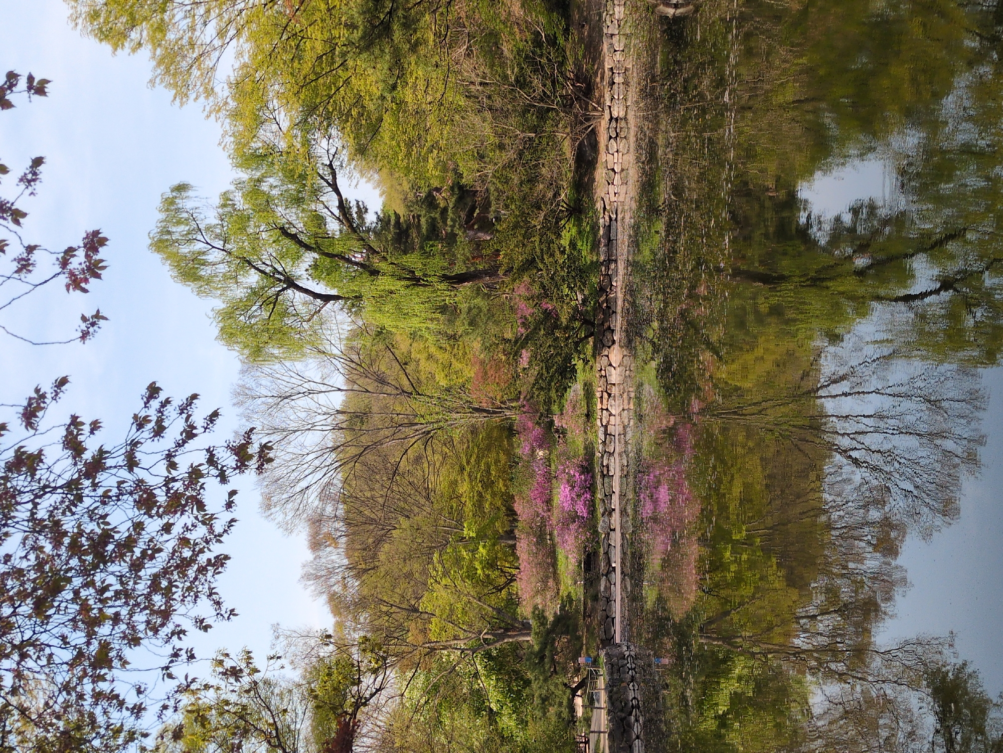 The image shows a reflection of trees and sky in a body of water, possibly a pond or lake, in Seoul, South Korea. The trees display varied stages of foliage growth, with some bare branches intermixed with vibrant green and pink blossoms. A stone wall borders the water's edge. The sky is pale blue. The reflection creates a symmetrical effect, mirroring the trees and sky onto the water's surface.