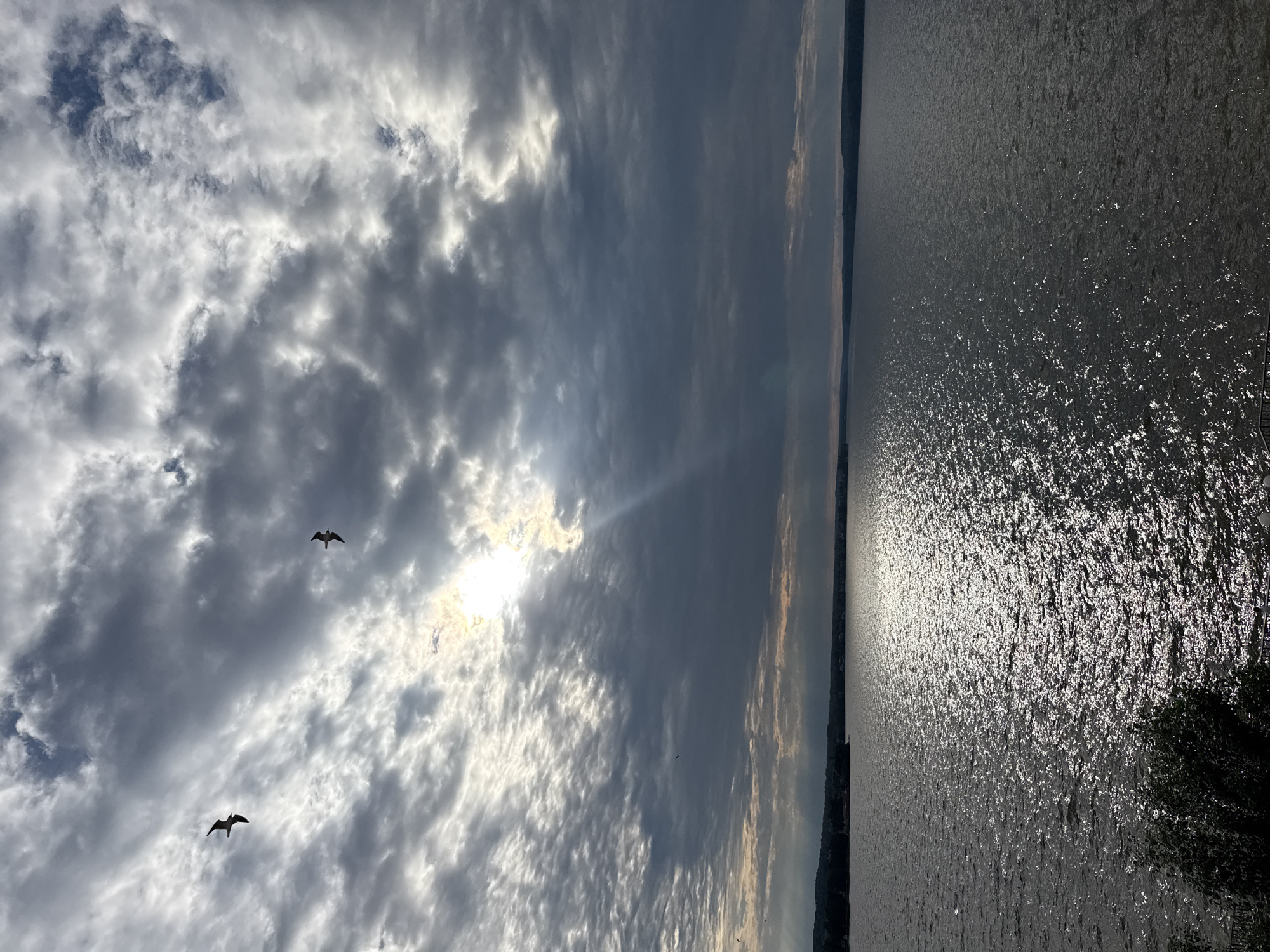 The image shows a scenic view of a body of water with a dramatic sky. The scene is oriented vertically, with the sky occupying the left two-thirds and the water the right third.
The sky is filled with a variety of clouds, ranging from dark, heavy storm clouds to lighter, wispy formations that catch the sunlight. The sun is partially obscured by clouds, creating shafts of light that pierce through the overcast. Two birds, appearing to be seagulls, are captured in flight against the cloudy backdrop.
The water is choppy, with sunlight glinting off the ripples, creating a sparkling effect. A dark, distant shoreline is visible on the left edge of the image, separating the sky and water. The silhouette of trees or foliage is present in the bottom right corner of the frame.
The time of day appears to be late afternoon or early evening, given the angle of the sun and the quality of light. The weather seems to be a mix of sun and cloud, creating a dynamic and somewhat moody atmosphere. The location is Votkinsk, Russia. There is no visible text in the image.