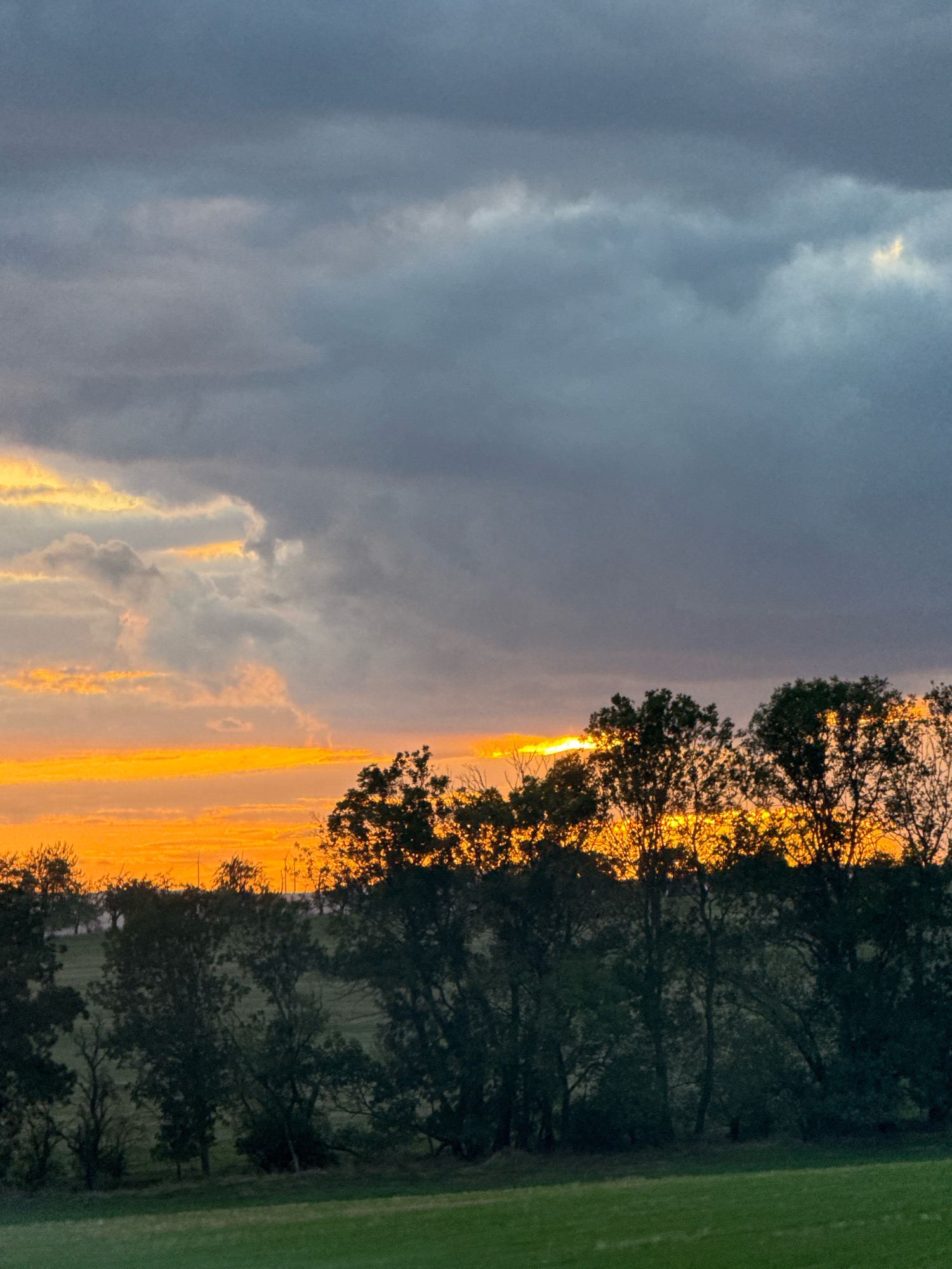 This image captures a dramatic sunset over a rural landscape, likely in or near Greußen, Germany. The sky is a dynamic mix of dark, brooding clouds and vibrant streaks of orange and yellow light breaking through. These luminous bands of color suggest the sun is low on the horizon, possibly just below it, casting its final rays across the scene.
In the foreground, a line of silhouetted trees forms a dark, irregular border against the bright sky. Their branches are stark and detailed against the fiery backdrop, with some leaves still visible, catching the golden light. Beyond the trees, the terrain appears to be a gently rolling hill, covered in dark green grass. This suggests a natural, uncultivated area.
The overall impression is one of natural beauty and the powerful, transient quality of a sunset. The contrast between the dark, heavy clouds and the brilliant light creates a sense of drama and awe. The absence of any human elements, buildings, or specific landmarks indicates a remote, natural setting within the municipality of Greußen.
