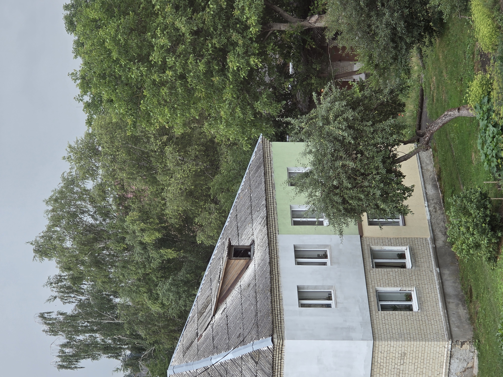 The image depicts a multi-story building with a gray, corrugated roof and a dormer window. The building's facade is a mix of light gray, lime green, and cream-colored sections, with cream-colored brickwork visible on the lower level. Several windows with white frames are visible. In front of the building, there is a large tree with a twisted trunk and a dense canopy of green leaves, along with other smaller trees and bushes. The ground is covered with grass and some foliage. The background consists of a dense wall of trees with varying shades of green, under an overcast sky. The scene is likely a residential area within the city of Dubno, Ukraine, given the architectural style and vegetation typical of the region. There are no people or animals visible in the image.