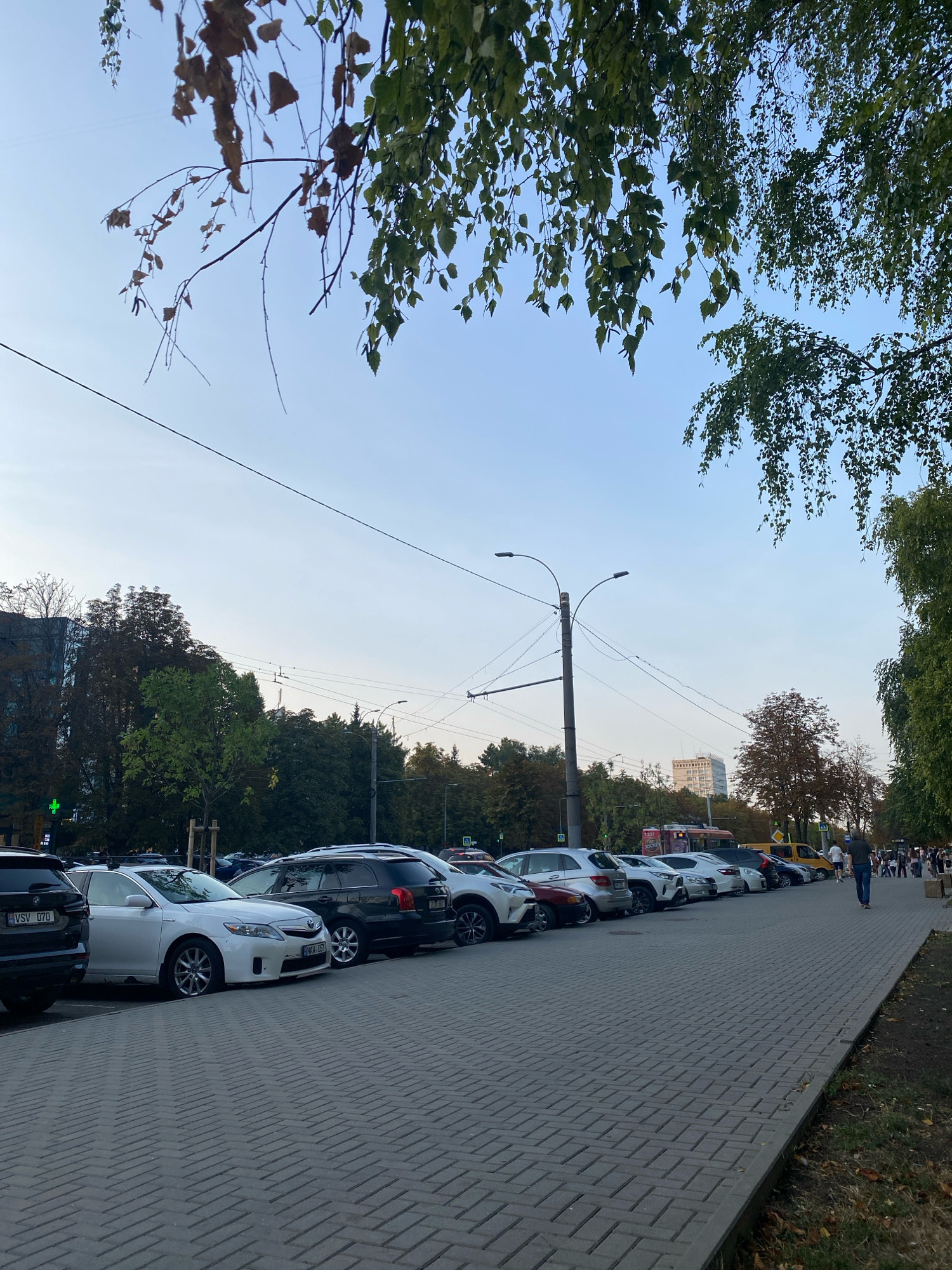 This is a street-level, full-frame shot of a parking lot adjacent to a sidewalk in Chișinău, Moldova. The scene is captured from a low vantage point looking across a row of parked cars and down a paved sidewalk. In the foreground, a light gray tiled sidewalk occupies the majority of the right side of the frame. Beyond the sidewalk, a line of various cars, including a black SUV, a white sedan, and several other dark-colored vehicles, are parked. The cars are facing towards the left side of the image, with their backs angled towards the viewer. Behind the cars, a dense line of trees forms a green barrier, with some trees showing autumnal colors. In the background, there is a tall, light-colored building and overhead power lines are visible. The sky is clear and blue, with a few branches from overhead trees with sparse leaves hanging into the top of the frame. A few people are visible walking on the sidewalk in the distance.