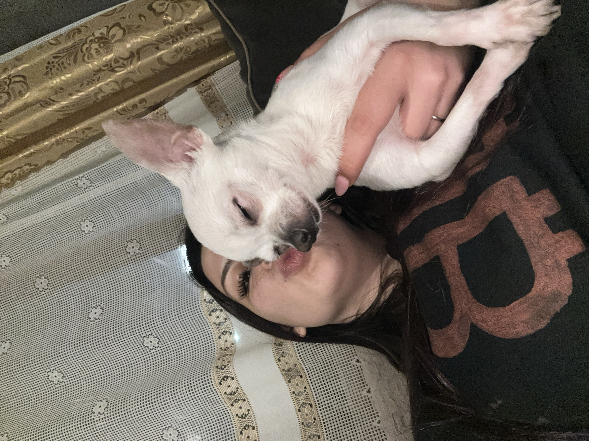 A woman with dark hair is lying on her back on a patterned blanket or tablecloth, holding a small, white chihuahua puppy. The puppy's face is close to the woman's, appearing to kiss her. The woman is wearing a dark-colored shirt with a large, faded brown design on it. Her hand, holding the puppy, has a ring on one finger and pink nail polish. The background includes a second blanket or piece of fabric with a gold floral pattern.
The location is unknown and not indicated in the picture.