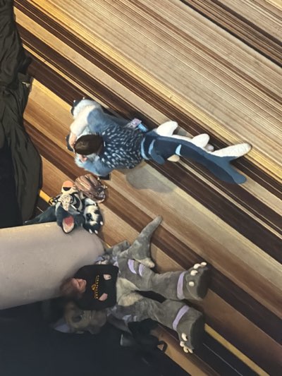 A photograph shows three plush toys and a person wearing a black shirt lying on a striped surface.
The plush toys include a blue and white shark, a black and white animal with an open mouth, and a gray creature with purple stripes. The person in the black shirt is lying next to the gray creature. The striped surface appears to be flooring.
The location is unknown, there is no information in the image to confirm it is in Atlanta, United States.