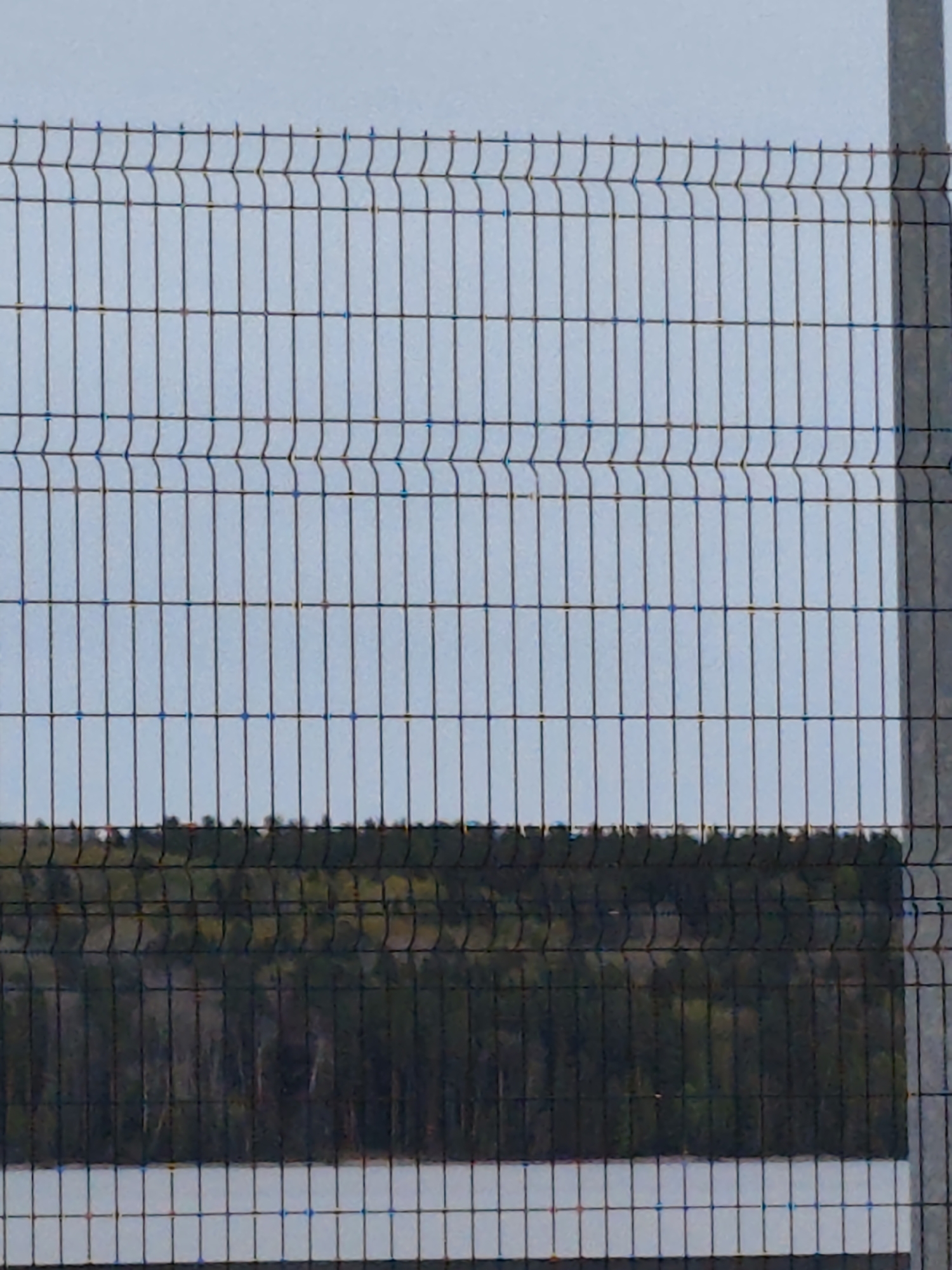A close-up shot depicts a metal mesh fence with a forest and sky visible through the gaps. The location is Chaikovsky, Russia, evidenced by the distinctive wire mesh fence design common in the region. A strip of dark green forest sits below a pale blue sky. The fence is made of thick wire with a repeating pattern of vertical bars and horizontal lines with slight curves at the top. A gray pole is visible on the right side of the frame, anchoring the fence. The fence blocks a partial view of a body of water. The lighting is overcast. There are no people visible.