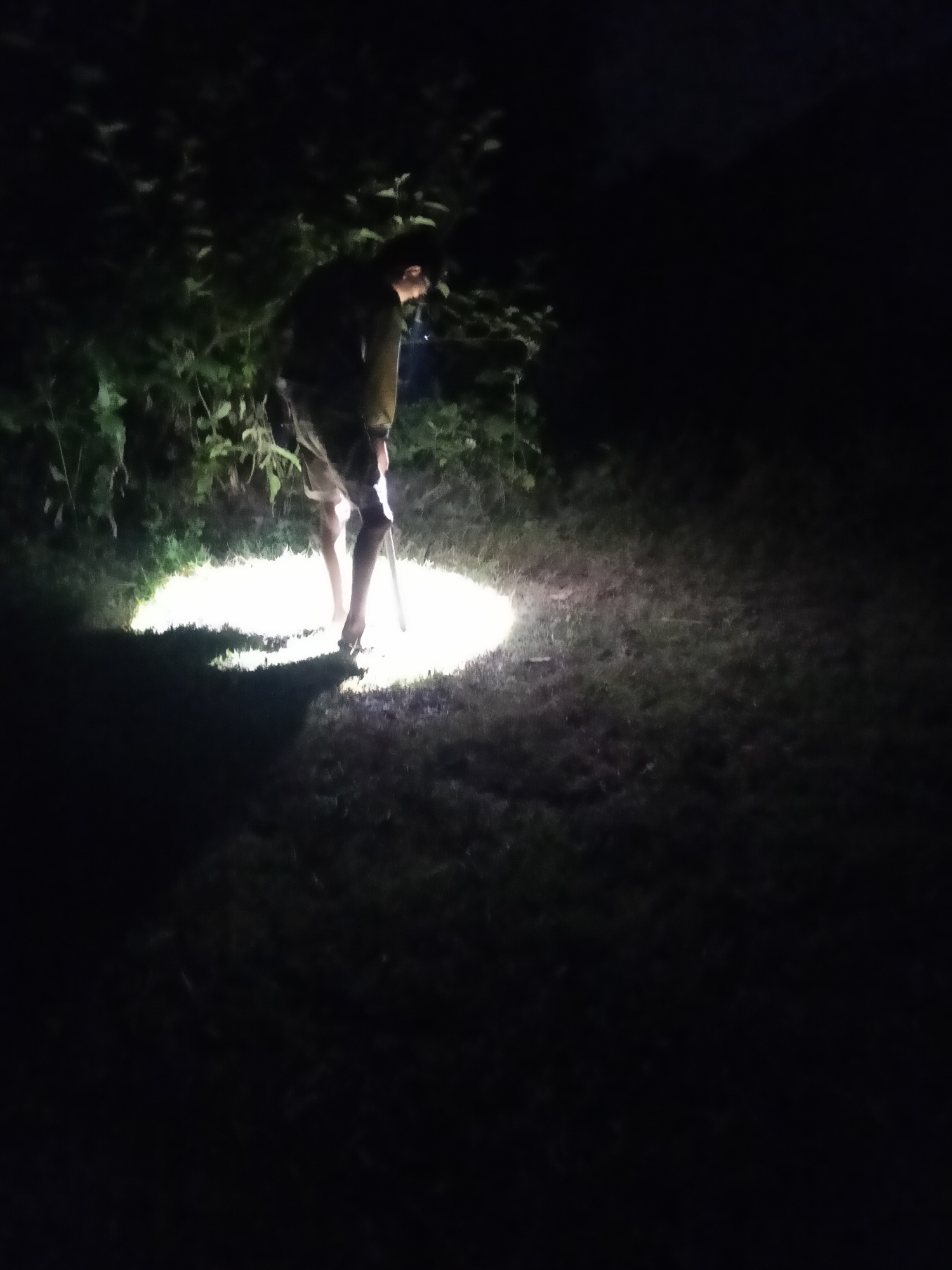 A person is walking in a dark outdoor area, illuminated by a spotlight. The person is wearing a jacket and shorts and is holding a stick or pole. The setting appears to be a grassy area with some bushes or trees in the background. The image is taken at night, as indicated by the darkness and the use of a spotlight. The mood is mysterious and possibly adventurous, given the dark surroundings and the exploration implied by the spotlight. No text is visible in the image. The location context is Makale, Indonesia, which suggests a tropical or subtropical environment.