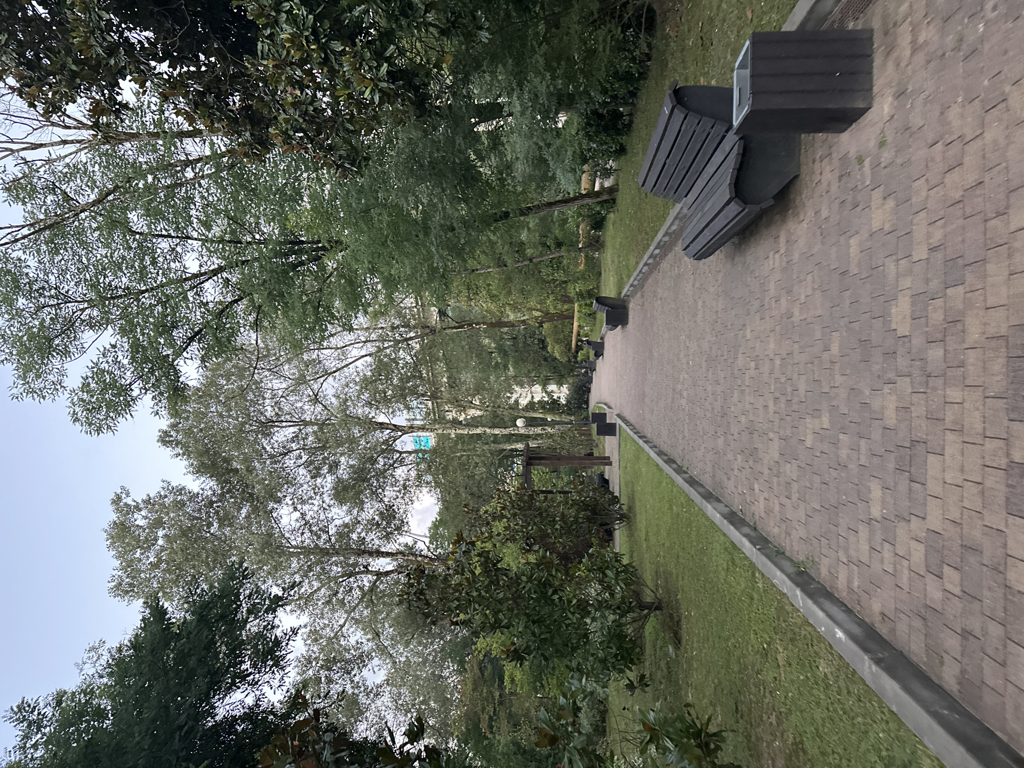 The image depicts a park pathway in Sochi, Russia. The pathway is paved with rectangular, reddish-brown bricks and is bordered by a grey concrete curb. To the right of the pathway, there is a dark, modern-style bench and a matching trash receptacle. Further along the path, additional benches are visible. The park features a variety of trees, including tall deciduous trees with sparse leaves and broad-leafed evergreen trees. Green grass covers the ground between the pathway and the trees. In the background, a building with white walls and some signage can be seen through the trees. The sky is overcast and a pale blue. The scene is tranquil, with no people present.