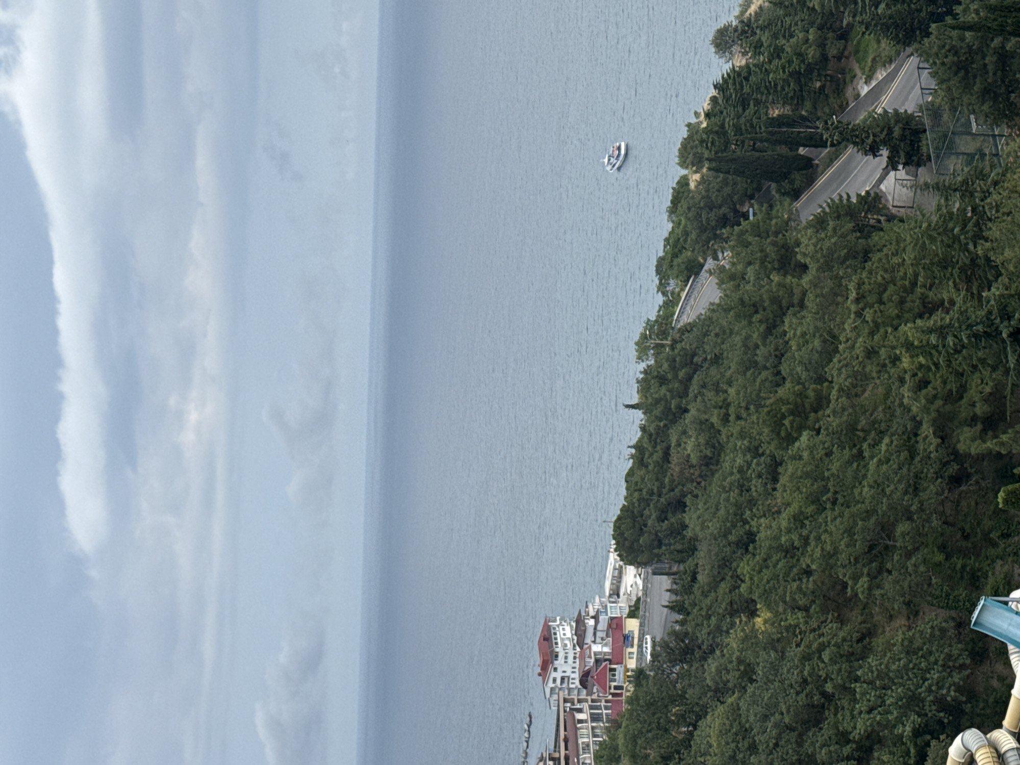 An elevated, medium shot captures a coastal scene under a cloudy sky. The vast, calm sea fills the upper right portion of the frame, with a small white boat visible in the distance. Below the sea, a densely wooded hillside slopes down towards the water. On the left side of the hillside, a cluster of buildings with red and white roofs is nestled amongst the trees, suggesting a residential or resort area. A road winds its way through the trees, and part of a water slide structure is visible at the bottom left of the image. The overall impression is of a serene, natural landscape integrated with man-made structures.