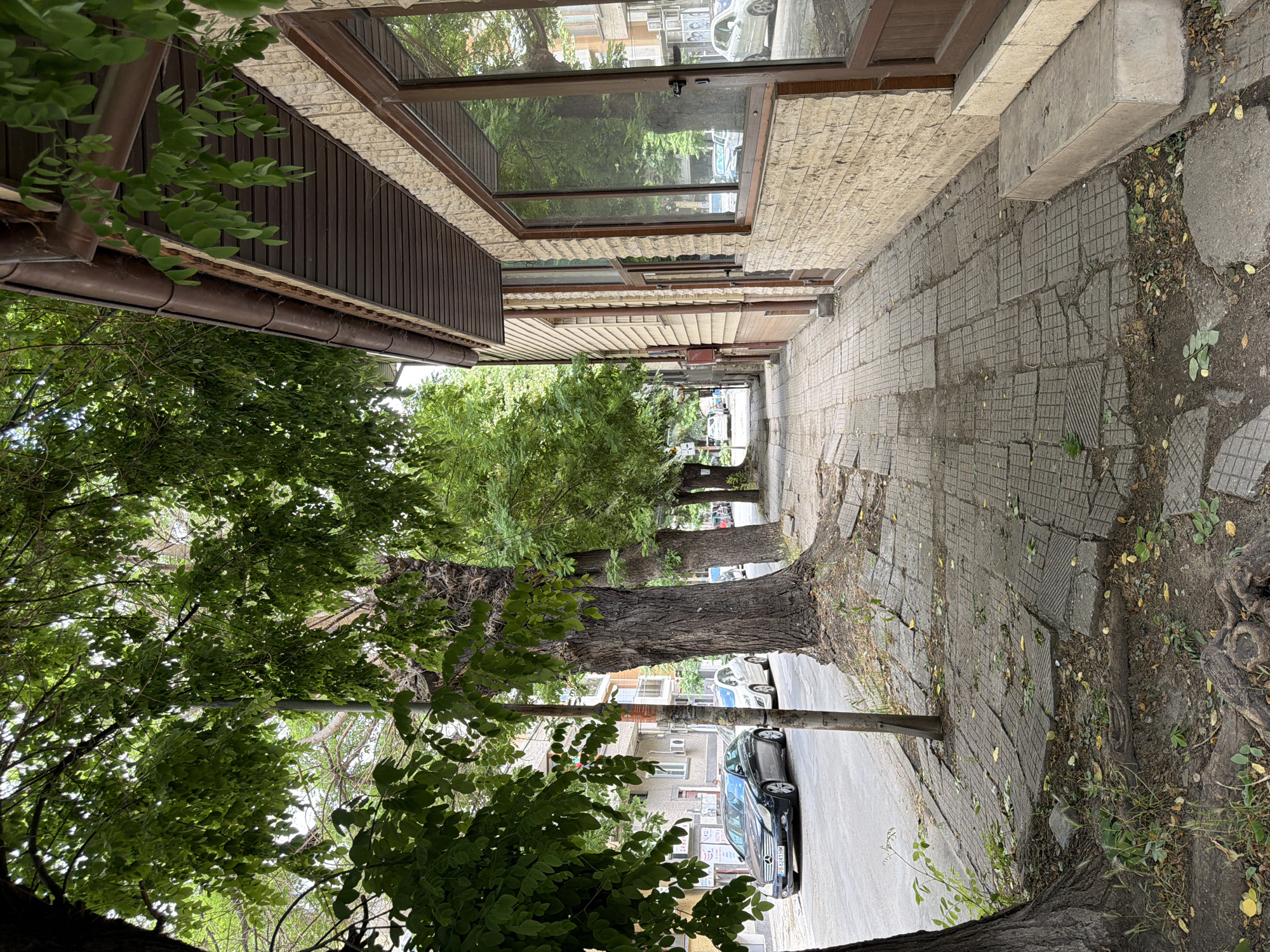 The image shows a street scene in Pazardzhik, Bulgaria. A row of mature trees with lush green foliage lines the left side of the image, casting shadows on the cracked and uneven sidewalk. The sidewalk is paved with square concrete tiles, many of which are displaced or broken, with exposed soil and roots visible in places.
On the right side of the sidewalk, a building with a light-colored, textured brick facade and dark brown wooden window frames runs along the street. A section of the building's roof and gutter system is visible at the top right. The building appears to be a commercial establishment, with large windows suggesting a storefront.
To the left of the sidewalk, a paved street is visible. A black Mercedes-Benz sedan is parked on the street, and other vehicles are parked further down the road, partially obscured by trees. The street appears to be in a residential or mixed-use area, with buildings visible in the background. A lamppost stands on the sidewalk near the foreground. The overall impression is one of an older urban area with established trees and some signs of wear and tear on the infrastructure.