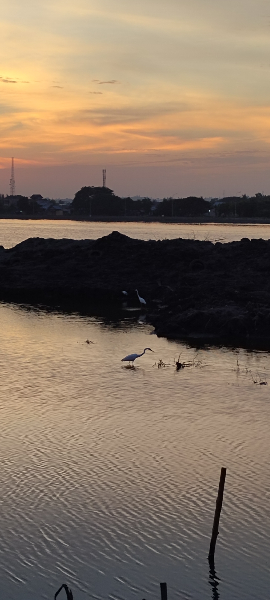 A serene sunset view is captured over the water in Lhokseumawe, Indonesia. The sky displays a gradient of warm oranges and yellows, with a hint of light blue towards the top. In the foreground, a dark, elevated mound of soil or earth separates the water. Several egrets are visible: one is standing in the shallow water in the foreground, its long neck curved. Another two egrets are further back, near the edge of the dark mound. The water itself has gentle ripples reflecting the warm hues of the sky. In the distance, a silhouetted treeline with buildings and two prominent telecommunication towers punctuates the horizon. The overall scene is peaceful and captures the natural beauty of the location at dusk.
