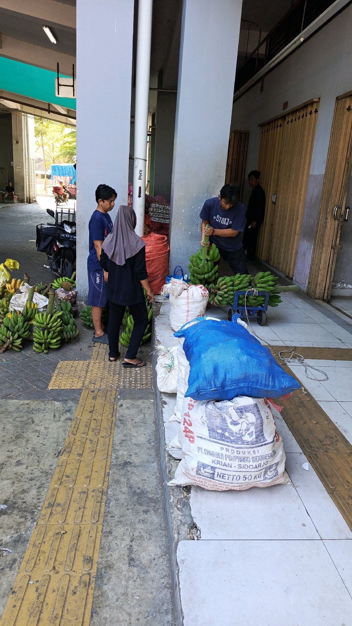 The image depicts an outdoor market scene, likely a fruit stall, in Ponorogo, Indonesia. In the foreground, a man wearing a dark blue t-shirt with "STAI..." text and dark pants is handling a large bunch of green bananas. To his left, a young person in a blue t-shirt and shorts stands near a woman wearing a grey hijab and black clothing. Behind them, a motorcycle is parked. The ground is paved with a textured yellow strip, common for pedestrian paths.
To the right of the man, several large sacks are piled. The top sack is bright blue, and underneath it are white sacks with text indicating "PRODUKSI PLUGMASTER PONOROGO INDONESIA", "KRIAN - SIDOARJO", and "NETTO 50 KG". These sacks are filled with goods, possibly agricultural products or animal feed.
In the background, a covered walkway or building structure with beige sliding doors is visible. Sunlight streams in from an opening, illuminating the area. Other market stalls or displays of produce, including more bananas, are present further in the background. The overall impression is one of a bustling local marketplace.