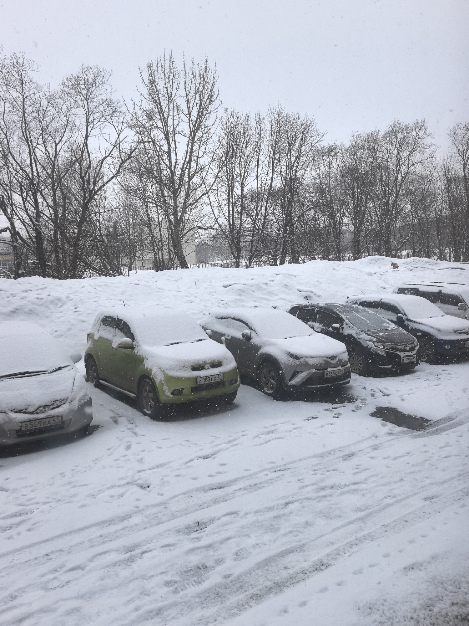 The image depicts a snow-covered parking lot, presumably in Unknown, Unknown, given the inclusion of license plate details suggesting a possible location. Six cars are visible, arranged in a row, all heavily laden with snow. The car closest to the viewer is silver, and next to it is a green vehicle. The remaining cars are darker in color. A snow-covered embankment is visible behind the cars, separating the parking lot from a line of bare trees, indicating a winter setting. The scene implies heavy snowfall and cold weather conditions. The ground is covered in snow, marked with tire tracks, suggesting recent vehicular movement. The sky is overcast and white, indicative of ongoing snowfall. There are no people visible in the photograph.