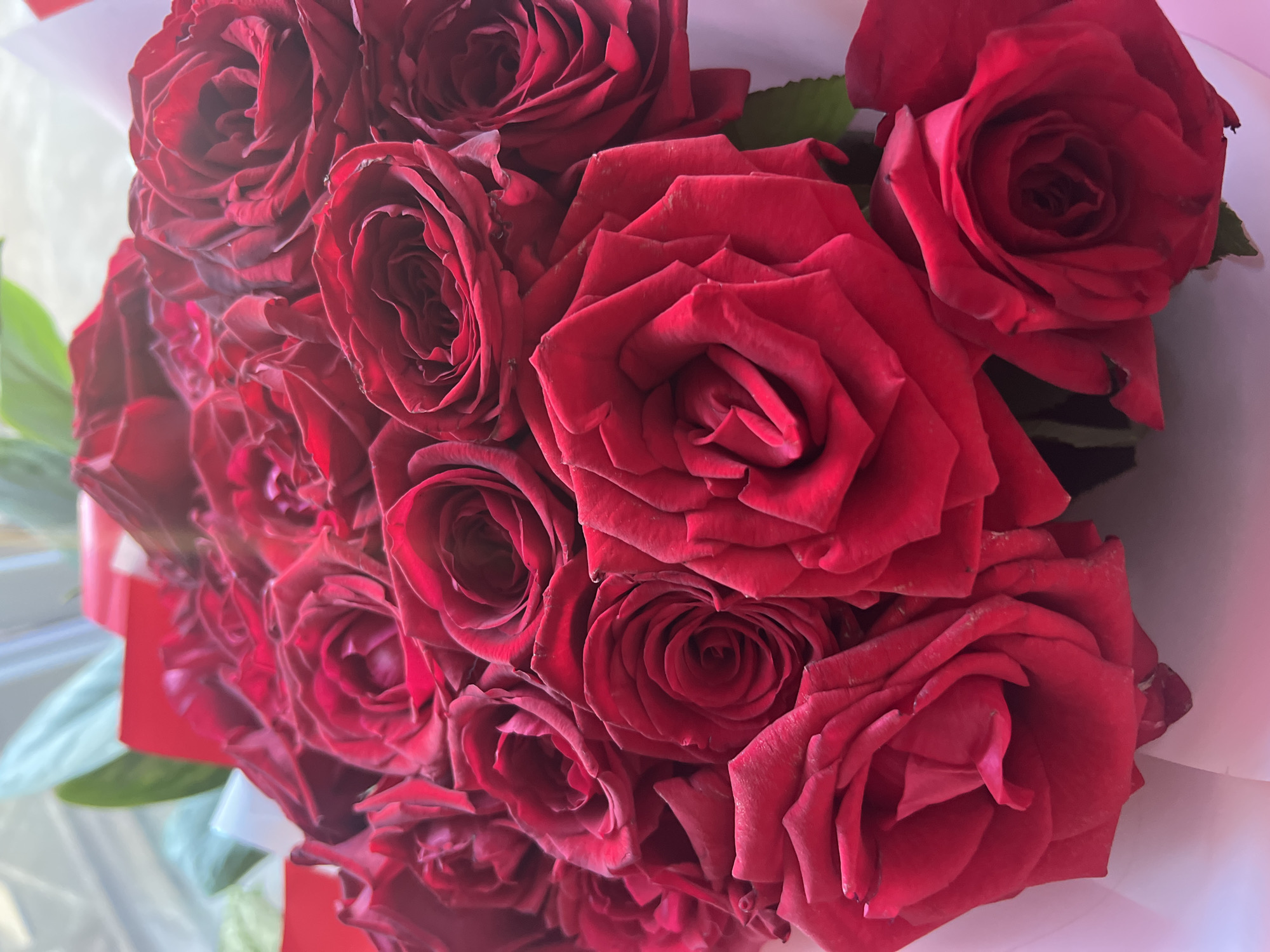 A close-up shot showcases a bouquet of deep red roses. The roses are full and layered, with some appearing more open than others. Subtle variations in lighting create shadows and highlights across the petals. The bouquet is wrapped in a combination of pink and white paper, with hints of red wrapping visible at the top. A few green leaves peek out from behind the roses. The background is blurred, suggesting a softly lit indoor environment. There are no people visible in the image. The scene does not contain any specific indicators that would allow for the determination of its location in Votkinsk, Russia.