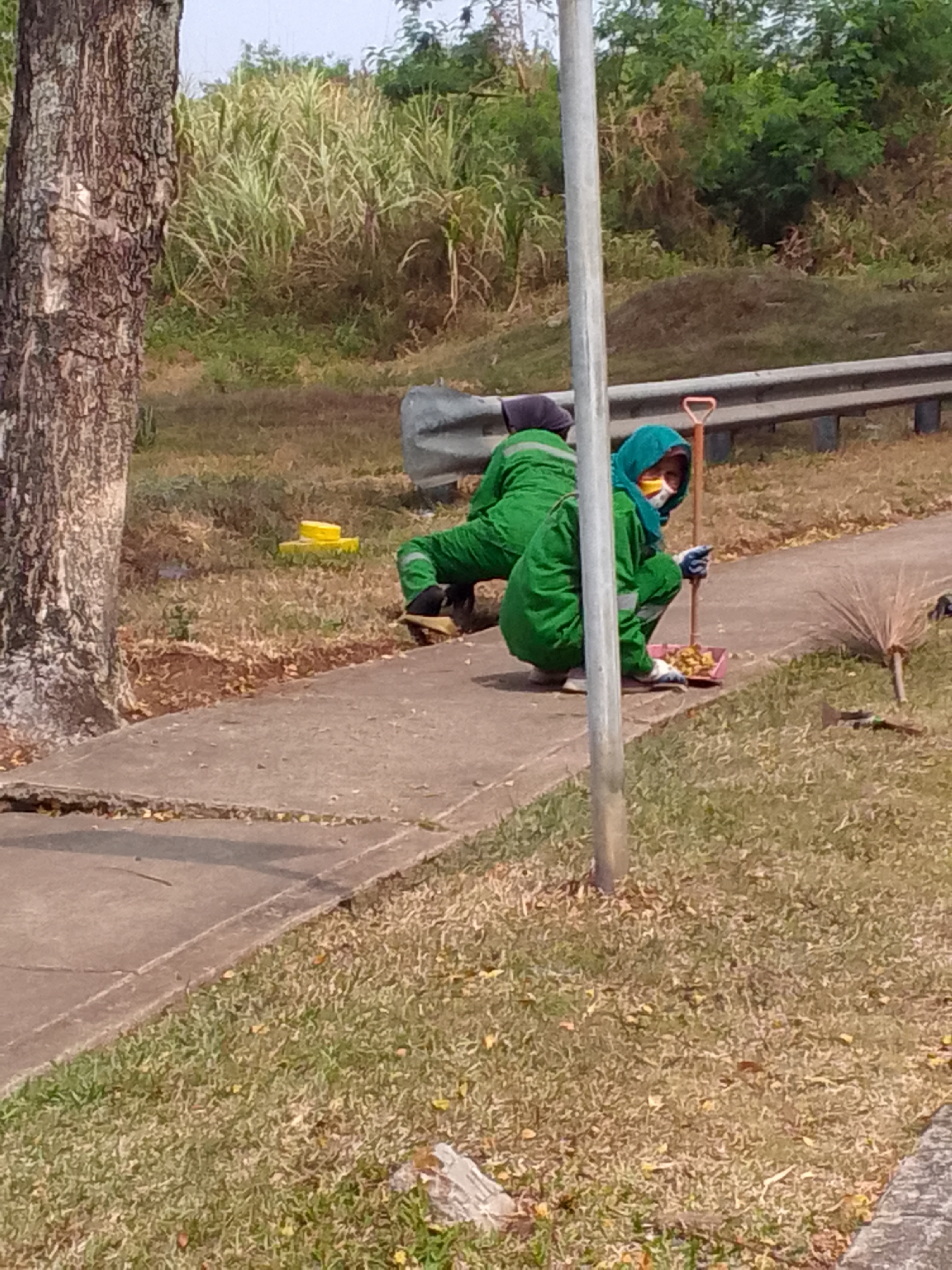 In Bojonghaleuang, Indonesia, two sanitation workers in green jumpsuits are seen cleaning a sidewalk. One worker, partially obscured, is crouched down. The other worker, in the foreground, is also crouched and using a broom and dustpan to collect debris. A metal pole stands vertically in front of this worker. In the background, there is dense vegetation and a metal guardrail. The scene appears to be outdoors, possibly along a roadside.