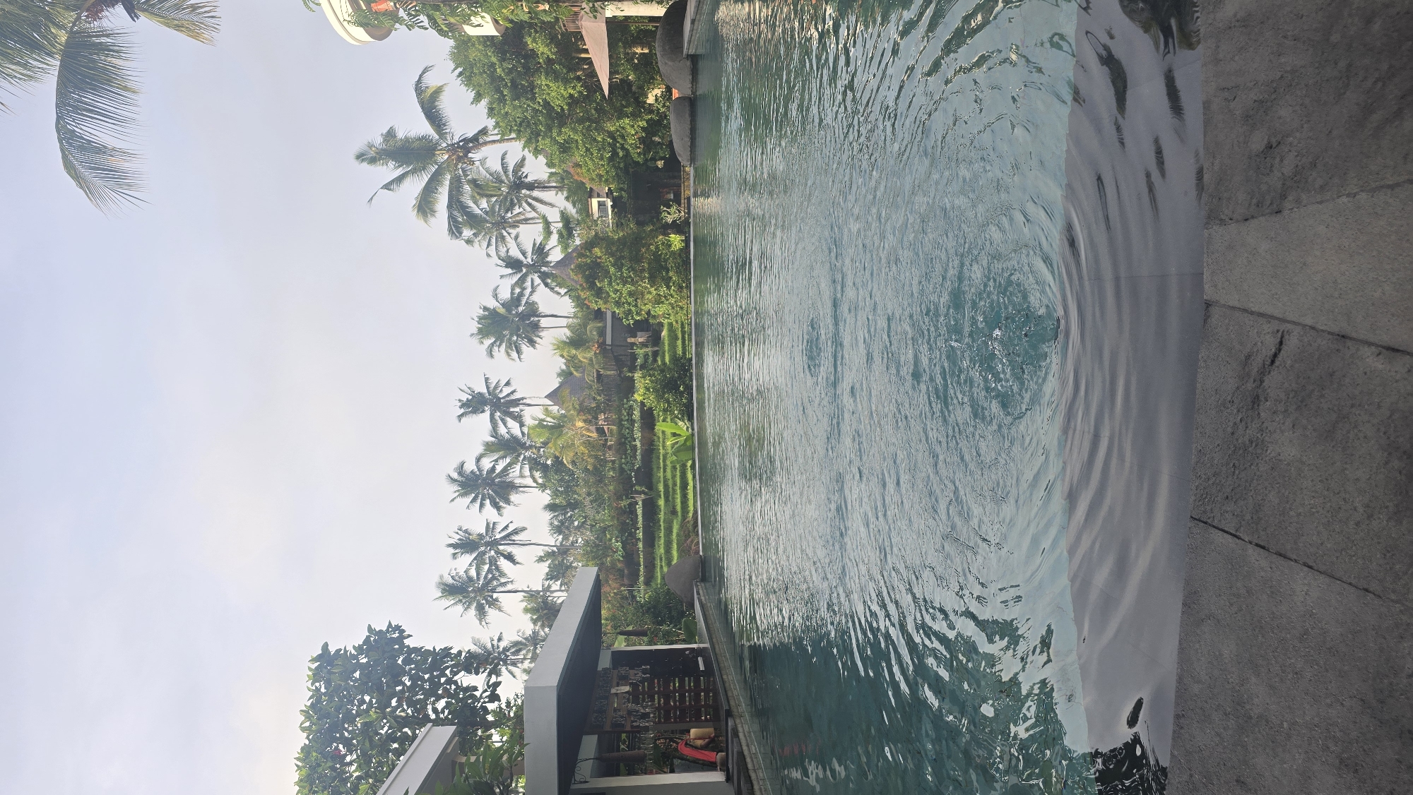 The image depicts an outdoor infinity pool in Ubud District, Indonesia, overlooking a landscape of palm trees and rice paddies. The pool water is clear and shows ripples. The pool edge is gray stone. Buildings are visible among the palm trees. The sky is bright with scattered clouds.