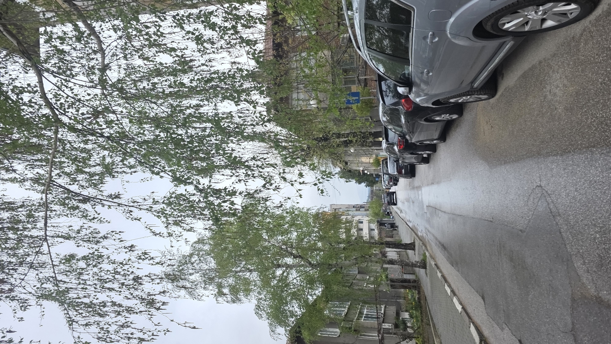 The image depicts a street scene in Blagoevgrad, Bulgaria. The view is looking down a residential street lined with parked cars. The road surface is wet, suggesting recent rain. Buildings are visible on both sides of the street, with trees along the sidewalk, their branches reaching over the road. The sky appears overcast, casting a diffuse light on the scene. There is no visible human activity in the image.