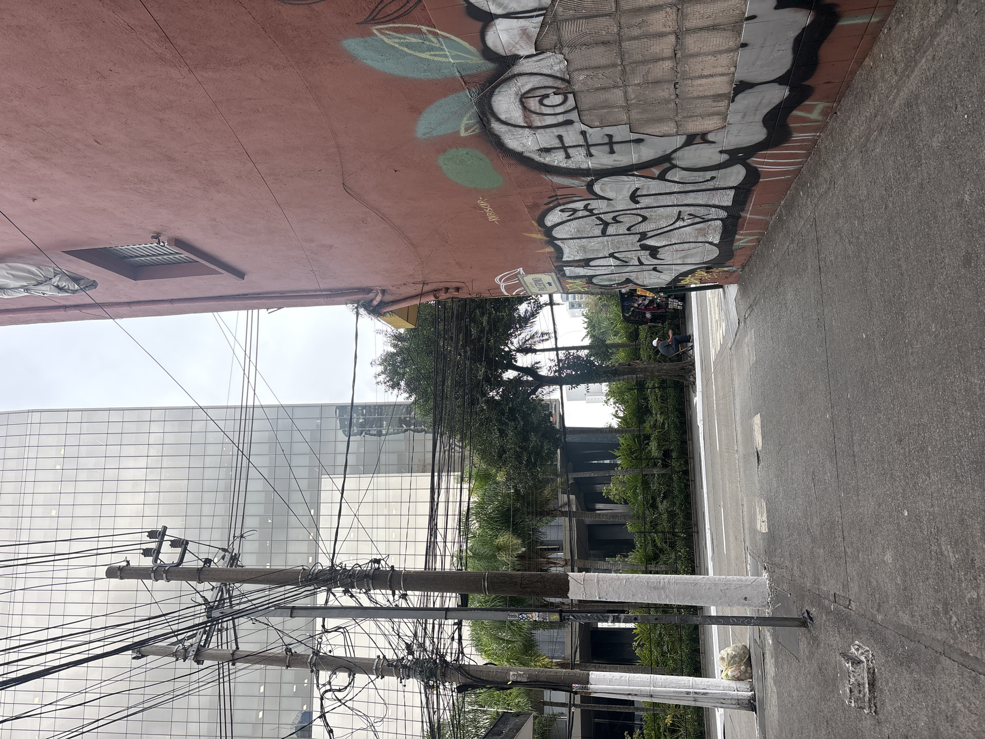 A street scene in São Paulo, Brazil, features a sidewalk next to a road. On the right, a reddish-pink building wall is covered in graffiti, with large bubble letters and more abstract designs. A yellow awning extends from the building near the top left of the wall. To the left of the wall, a sidewalk leads towards the road. Across the road, a modern glass-sided building towers over a row of palm trees and other lush greenery. Two utility poles with a dense network of black wires are positioned between the sidewalk and the road. On the sidewalk near the utility poles, a large, opaque plastic bag is visible, appearing to be trash. Further down the sidewalk, a person is seated on a chair, and what looks like a stall with clothing is set up. The sky is overcast.
