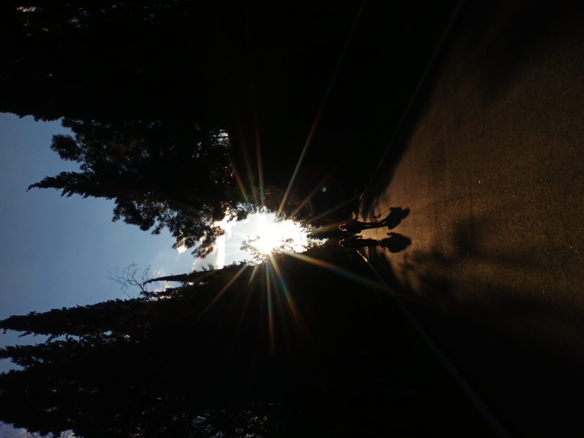 A low-angle shot shows silhouettes of trees against a bright sun and blue sky. Two figures, also silhouetted, stand on a path or road. The location is Stara Zagora, Bulgaria. The sun's rays are prominently visible, with rainbow-like flares. The lighting suggests either sunrise or sunset. The ground surface appears to be paved.