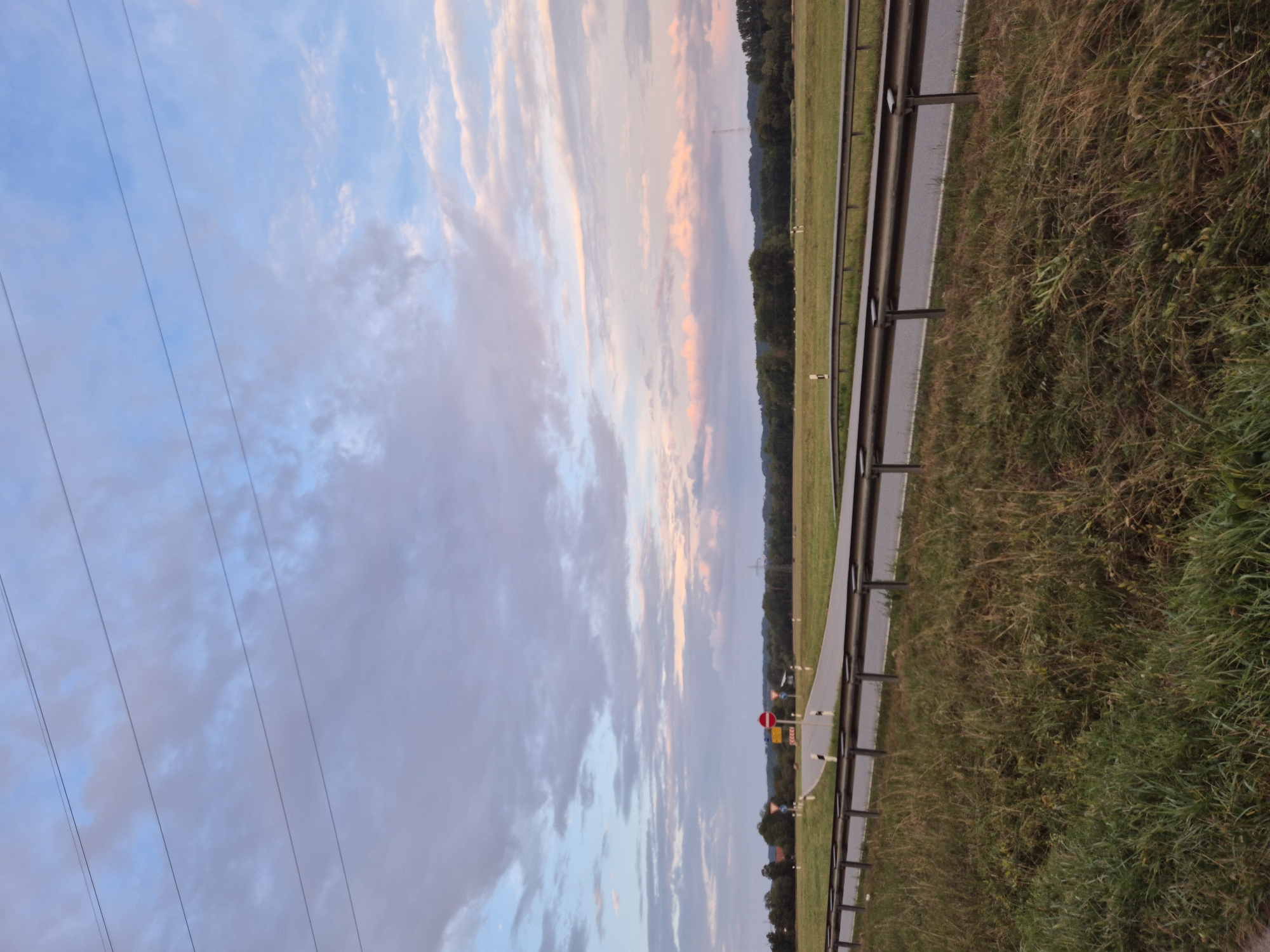 The image depicts a rural scene near Ergolding, Germany, under a cloudy sky with hints of pink and orange from a sunset. A two-lane road curves through a grassy field, bordered by metal guardrails. Several traffic signs are visible along the roadside, including a red circular stop sign. A line of trees forms a backdrop to the field, and power lines stretch across the upper portion of the frame. The foreground is dominated by tall, dry grass. The scene appears to be a typical roadside view in a semi-rural area.