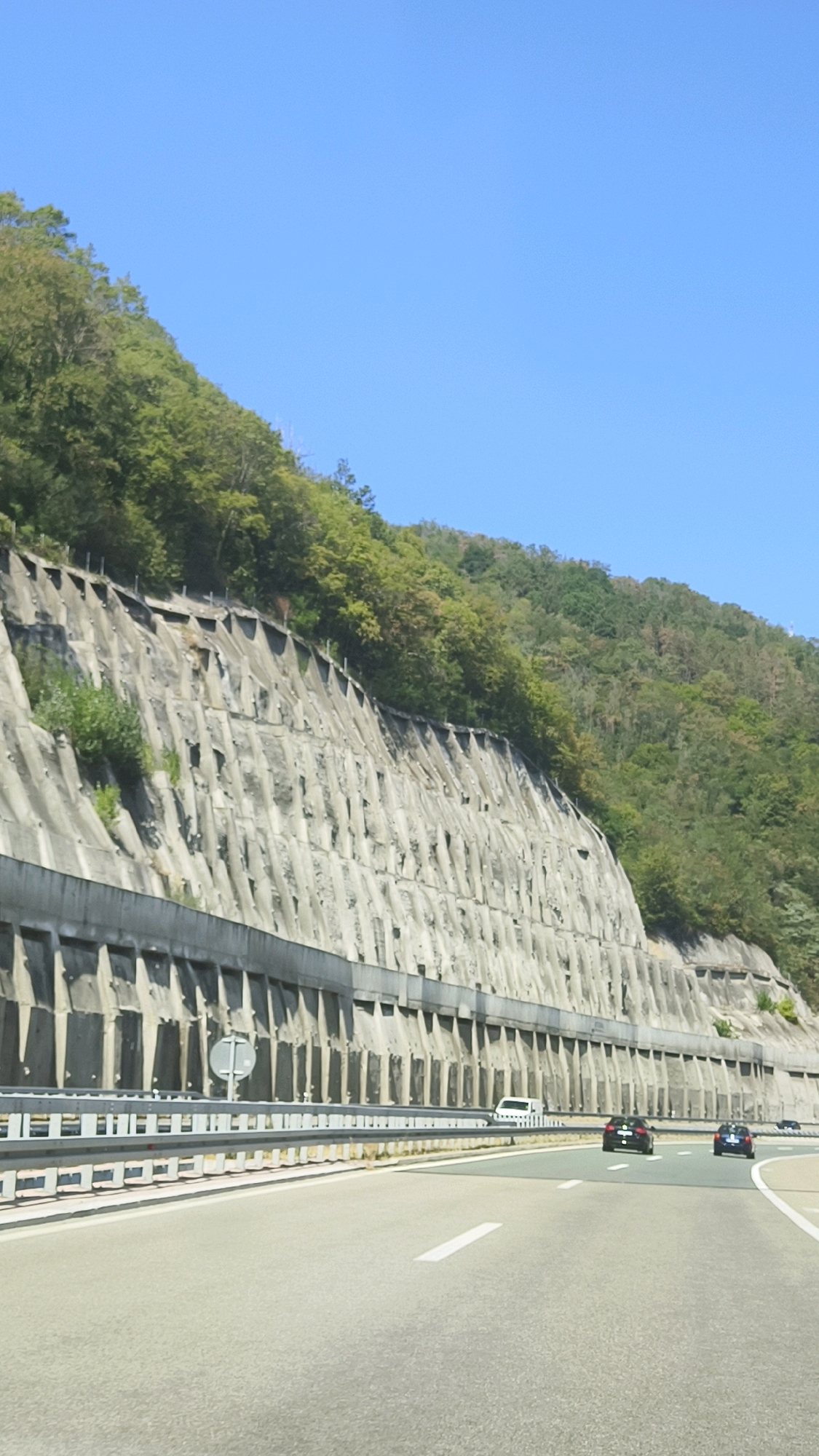 The image captures a view from a highway in the Vladicin Han Municipality, Serbia, looking towards a steep, forested mountainside. The mountainside is heavily engineered with a large, grey concrete retaining wall that stretches across the frame. This wall is constructed with numerous angled concrete segments, appearing to be a form of gabion or terraced support system, designed to prevent erosion or landslides. Small green bushes are growing from cracks and crevices in the concrete.
Above the retaining wall, the mountain is densely covered in green trees, with a clear blue sky visible at the top of the image. The highway in the foreground is paved with asphalt and has white lane markings. A silver guardrail separates the highway lanes from the retaining wall. Several vehicles are on the highway: two black cars, one dark blue car, and a white van. The cars are traveling away from the viewer. A white circular road sign on a pole is visible near the guardrail. The overall scene depicts a mountainous landscape adapted for modern infrastructure, highlighting the intersection of nature and human construction.