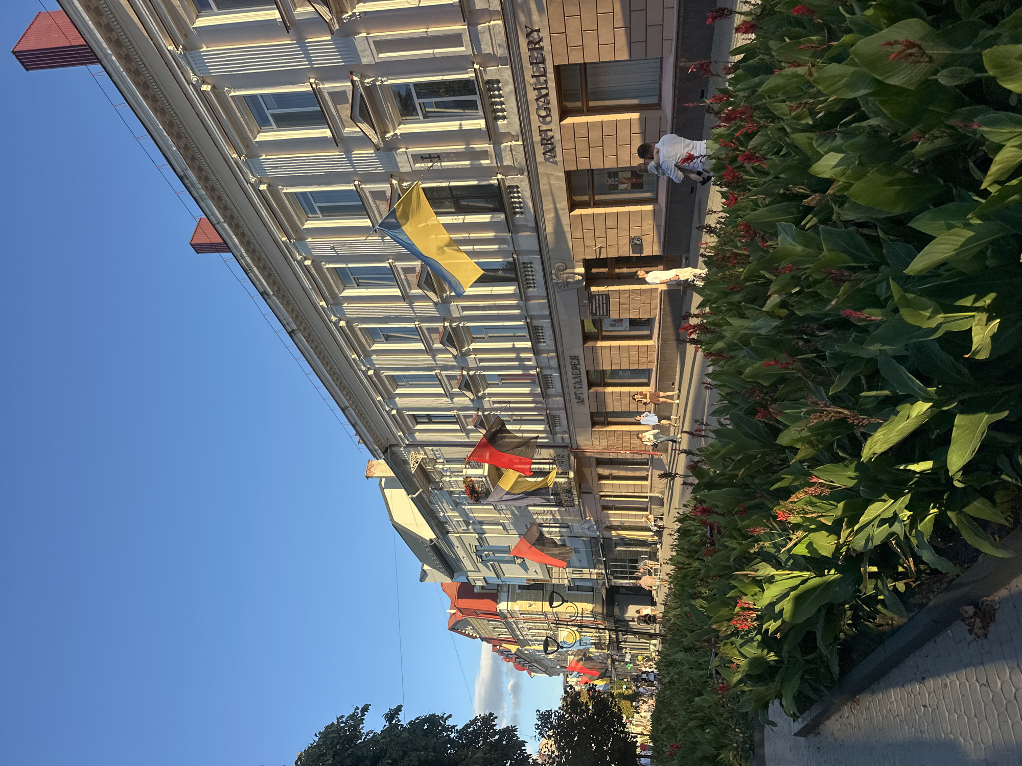 The image depicts a street scene in Ternopil, Ukraine, bathed in the warm light of a setting sun. The foreground is dominated by a lush flowerbed filled with large green leaves and vibrant red flowers, possibly Canna lilies. A paved walkway runs alongside the flowerbed.
The middle ground features a street lined with multi-story buildings. Many of these buildings have ornate architecture with classical columns and decorative elements. Flags are prominently displayed, including the Ukrainian flag, along with other flags that appear to be German and possibly others. These flags are hung from the balconies and facades of the buildings, suggesting a public event or celebration.
The buildings house various establishments, with signage visible, including "ART GALLERY" on one of them. People are walking along the street and sidewalk, some casually strolling, others appearing to be heading into or out of the buildings. A man is carrying a child on his shoulders in front of one of the buildings. The sky above is a clear blue, with a few wispy clouds in the distance, indicating good weather. The overall impression is of a lively, European-style urban environment during the golden hour.