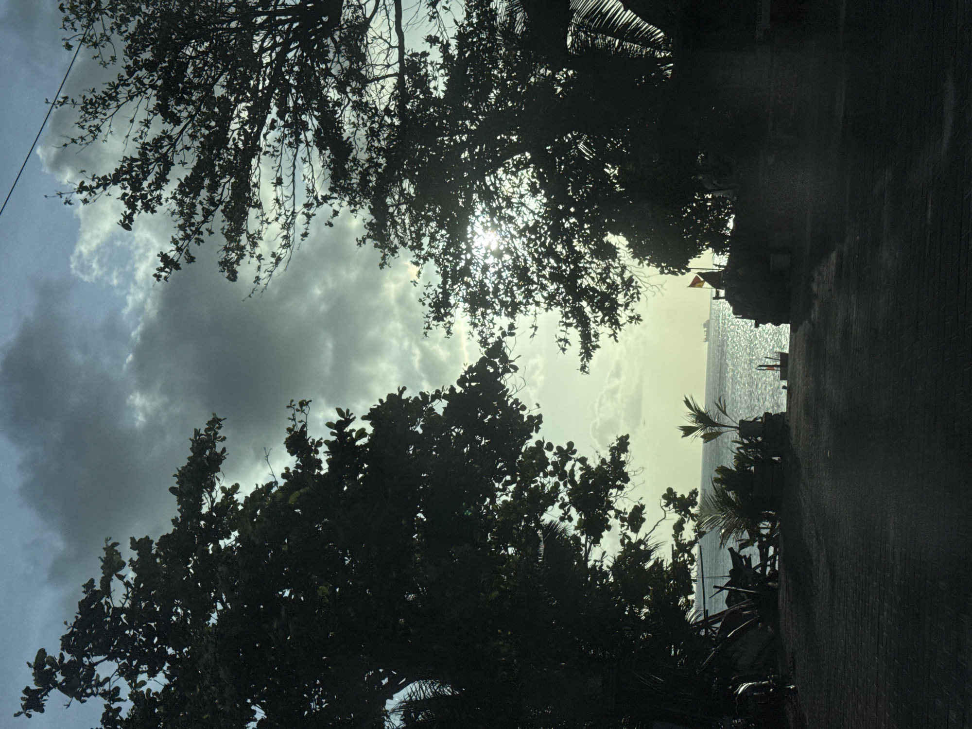 A view from a shaded area, likely a sidewalk or road, looking towards the ocean in Kuta, Indonesia. Dense foliage and tree branches frame the scene, obscuring much of the sky, which is filled with partially cloudy conditions. The sun is visible through the leaves of the trees, creating a bright spot in the center of the image. The ocean appears to be calm, with the light reflecting off the water's surface. The scene suggests a natural setting adjacent to an urban environment. A red flag is visible, likely on the beach.