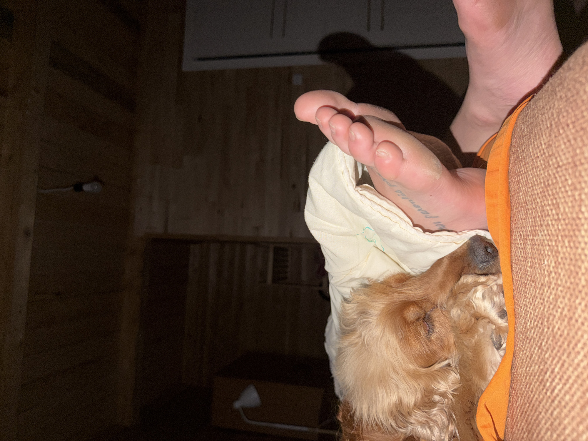 The image shows a close-up view of a person's feet and a sleeping dog. The dog, a golden-colored breed, is nestled under a light-colored blanket next to a bare foot. The foot has a tattoo on the arch. The scene appears to be indoors, with wooden walls and ceiling visible in the background. A lamp is visible on the left side of the frame, and a doorway is on the right. The lighting is dim. The location is specified as Emel'yanovo, Russia.