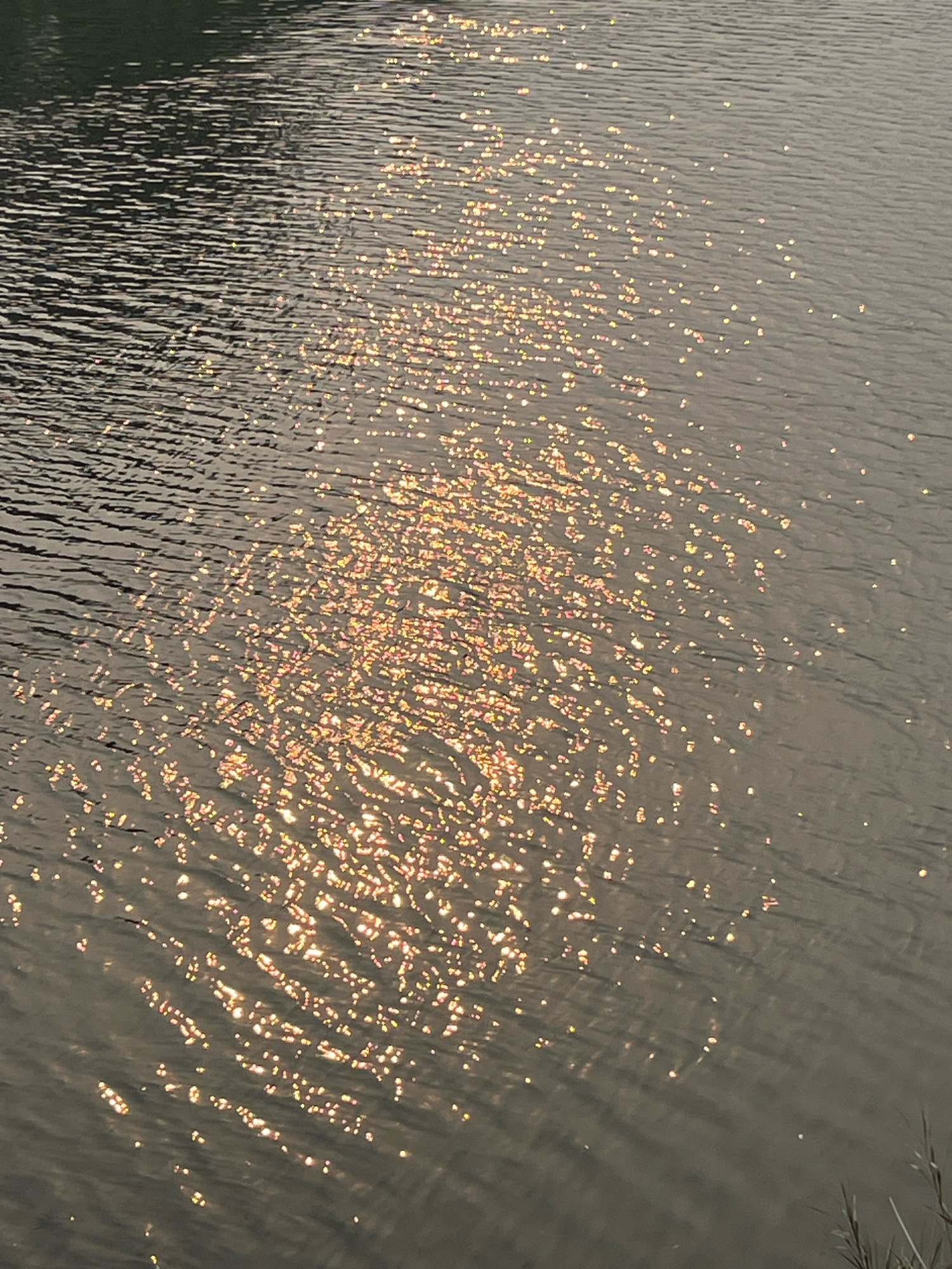 The image shows a body of water with ripples. Sunlight reflects off the surface of the water, creating numerous bright, shimmering spots. The water appears dark in some areas and lighter where the sunlight hits it. The image is taken from a slightly elevated perspective, looking down at the water. There is a dark, blurred area in the upper left corner that suggests land or vegetation. In the lower right corner, some dry grass or reeds are visible. The scene is likely outdoors and during daylight hours. The water could be a lake, river, or pond. The image does not contain any people or identifiable landmarks that would place it in Kuala Lumpur, Malaysia.
