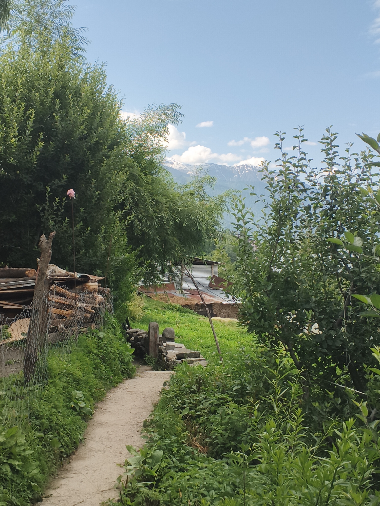 The image depicts a rustic pathway winding through lush greenery in Bahang, India. On the left, a chain-link fence borders a pile of stacked lumber and a rough-hewn wooden post. A thin metal pole rises from the ground, topped with a small pink object, possibly a piece of fabric or a flower. The pathway leads towards a cluster of simple structures with corrugated metal roofs, set against a backdrop of dense foliage. In the distance, majestic mountains, their peaks dusted with snow, rise against a bright blue sky dotted with fluffy white clouds. The overall scene conveys a sense of rural tranquility and natural beauty.