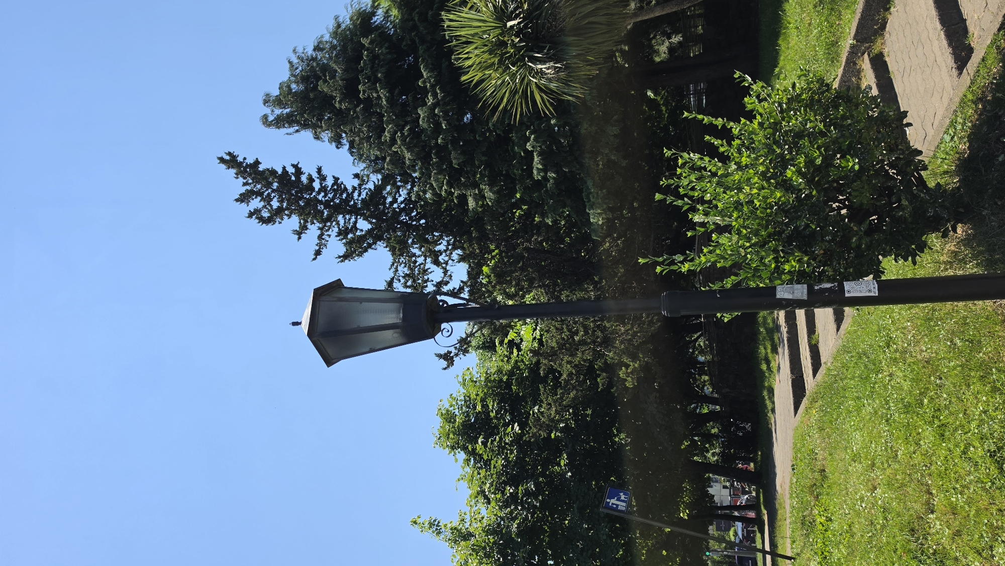 The image captures a daytime outdoor scene with a clear blue sky. In the foreground, a black lamppost stands tall, adorned with two stickers. To the right of the lamppost, a neatly trimmed green bush thrives, and a paved walkway with steps is visible. A patch of well-maintained green grass extends to the left, bordered by the walkway.
Behind the lamppost and bush, a lush backdrop of various trees creates a dense, green canopy. Among them, a tall, dark coniferous tree stands out, its branches reaching towards the sky. To the far right, a spiky palm tree adds a tropical touch to the foliage.
In the middle ground, a blue sign with white icons depicting a person and a dog suggests a park or designated area. Further to the left, cars are visible parked along a street, hinting at the presence of a road or urban infrastructure. The overall environment suggests a park or public space within the city of Batumi, Georgia, likely during the spring or summer given the vibrant greenery.