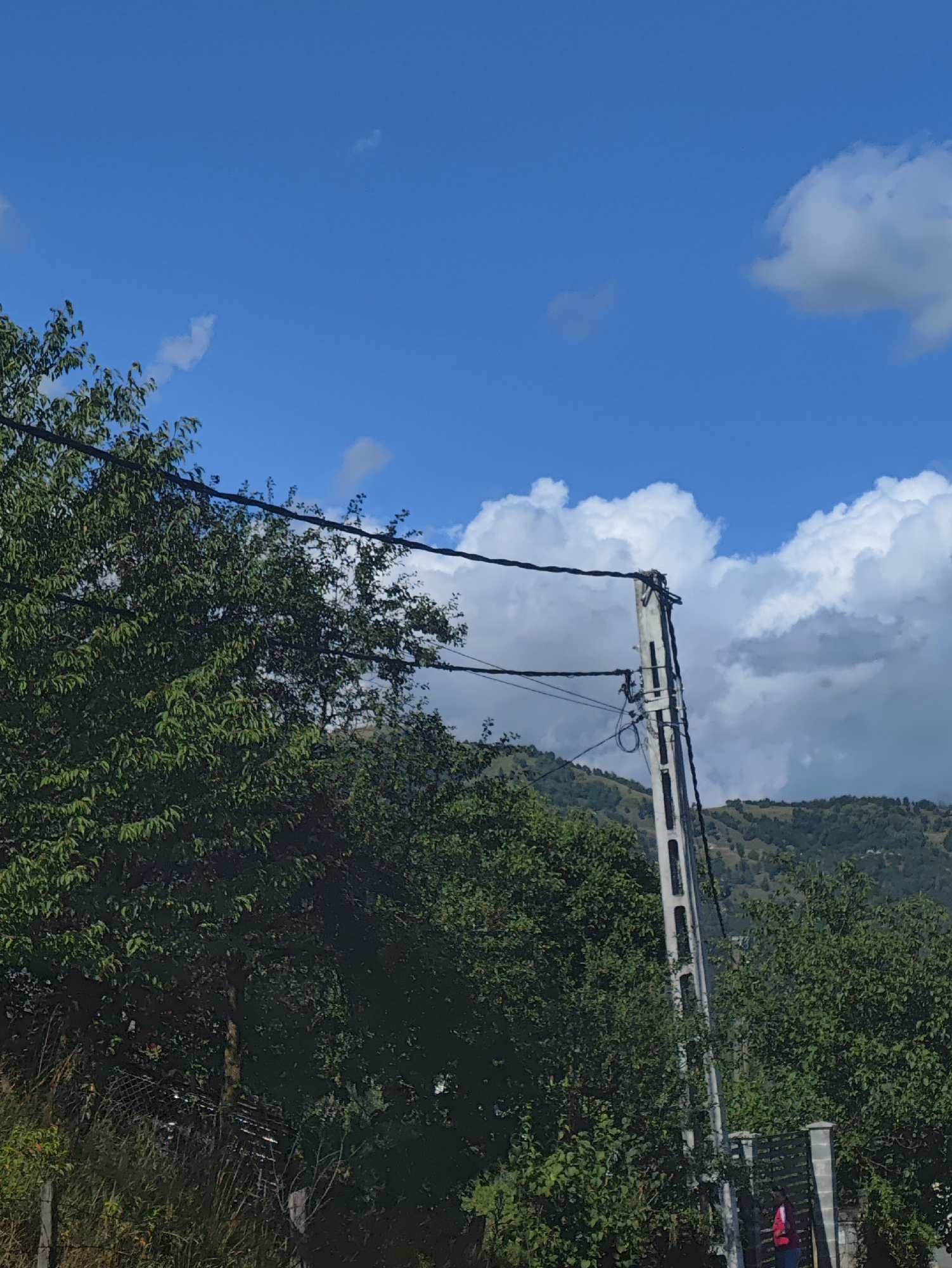 This image captures a rural scene in Petrova, Romania, under a bright blue sky dotted with white clouds. A tall, gray concrete utility pole stands prominently on the right side of the frame, supporting multiple black electrical wires that stretch across the image. Lush green trees dominate the left and foreground, their leaves dense and vibrant. In the middle ground, a rolling, tree-covered hillside forms the backdrop. A concrete fence with vertical slats is visible in the lower right corner, and a person wearing a pink vest and blue pants stands near it. The overall impression is one of a sunny day in a somewhat undeveloped, natural landscape.