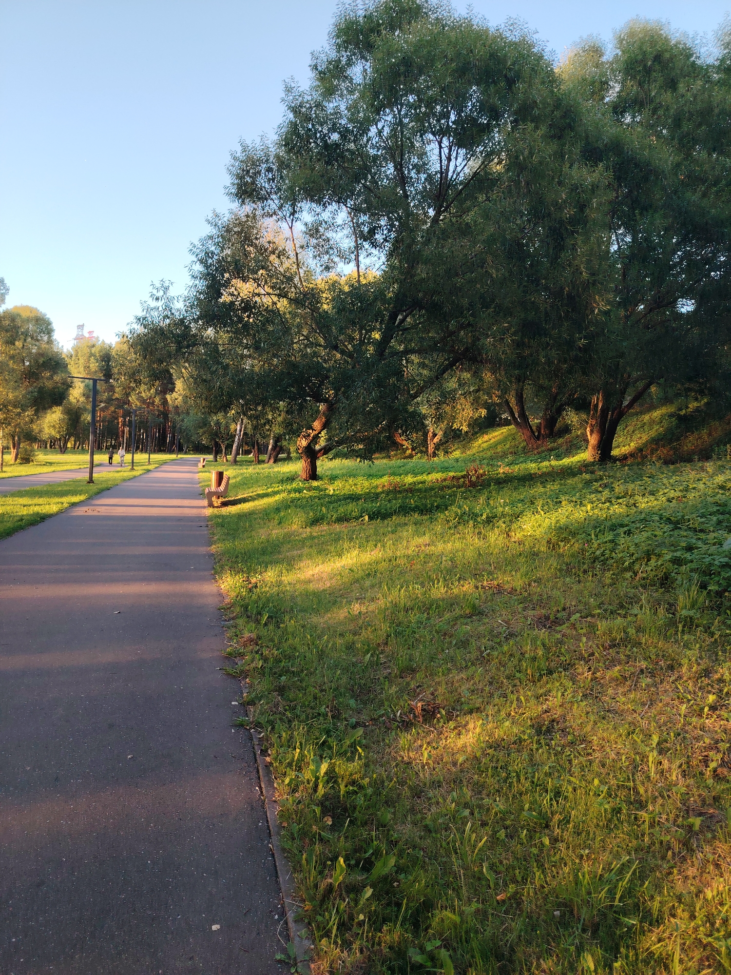 This is a ground-level, eye-level, full shot of a paved park pathway on the left side of the frame, with a grassy slope and trees on the right. The pathway is dark gray asphalt and appears to be a walking or cycling path. The grassy area is covered in green grass and some low-lying plants, illuminated by warm, golden sunlight that casts long shadows. Several large trees with dense green foliage are situated on the slope, their trunks visible. In the distance, along the pathway, there are lampposts and a park bench. Two figures, appearing as a man and a woman, are walking on the pathway in the mid-ground, facing away from the camera. The sky is clear and pale blue. The scene suggests a park or recreational area in Konakovo, Russia, bathed in the soft light of late afternoon or early morning.