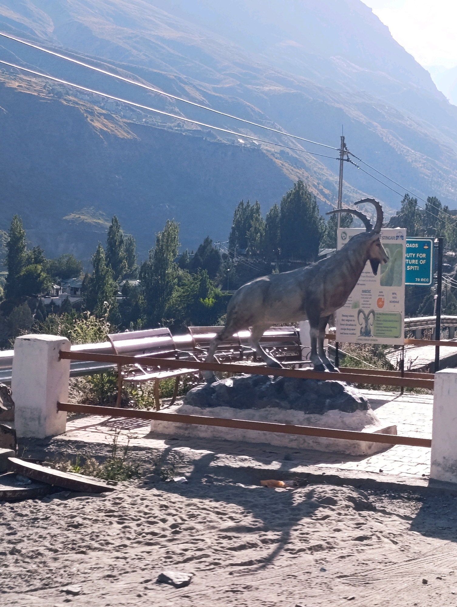 In Stingri, India, a statue of a Himalayan Ibex stands proudly on a rocky pedestal. The statue faces left, with its head turned slightly forward and its curved horns prominently displayed. A beige informational sign with text and images is positioned behind the statue, partially obscuring the background. The sign is mounted on a metal post. To the right of the informational sign, a blue road sign with white lettering reads "ROADS DUTY FOR NATURE OF SPITI" and "70 RCC". A brown wooden railing runs in front of the statue and continues to the left. The ground in front of the railing is covered in sand and gravel, with tire tracks visible in some areas. In the background, lush green trees are scattered across a hillside, and mountains rise in the distance under a clear blue sky.