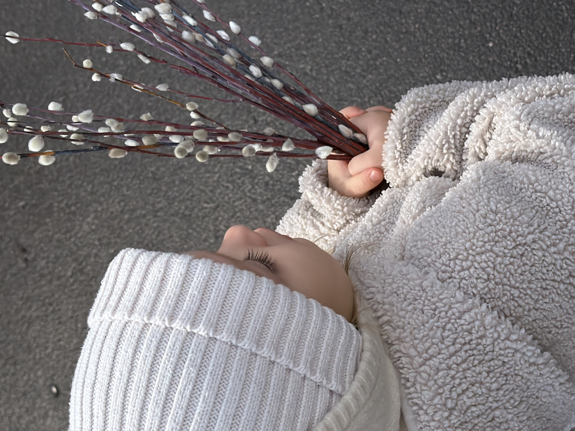 A child, viewed from above, lies on a gray surface, likely concrete or asphalt. The child wears a cream-colored, ribbed knit hat and a fluffy, light beige jacket. They hold a bundle of pussy willow branches with white, fuzzy catkins in their right hand. The background consists of the textured gray surface on which the child is lying. The location is unknown.
