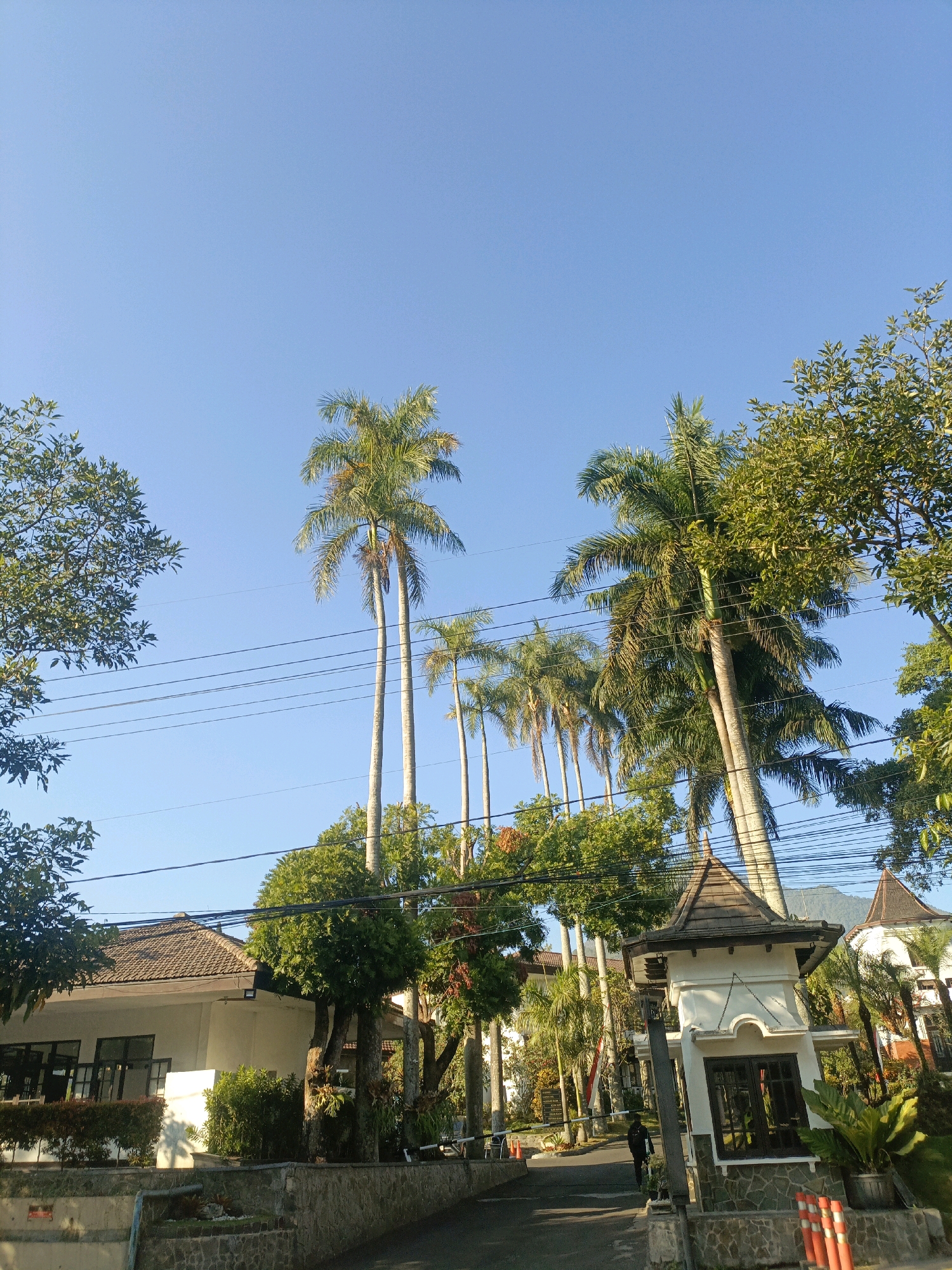 The image depicts a view of a building complex with lush greenery and palm trees under a clear blue sky. The scene is likely located in the city of Batu, Indonesia, known for its cool climate and scenic landscapes.
In the foreground, a white security post with a dark brown tiled roof stands prominently, featuring glass windows and stone detailing at its base. A person is visible walking away from the post on a paved pathway. Orange and white bollards are placed near the security post.
To the left of the security post, a single-story building with a brown tiled roof and white walls is partially visible. It has several windows and is surrounded by manicured hedges and trees.
Dominating the background are tall palm trees, their fronds reaching towards the sky, interspersed with other lush green foliage. Overhead, power lines crisscross the sky. The overall atmosphere is serene and tropical, suggesting a well-maintained property or resort. The lighting indicates it is daytime, with the sun casting shadows and illuminating the scene.