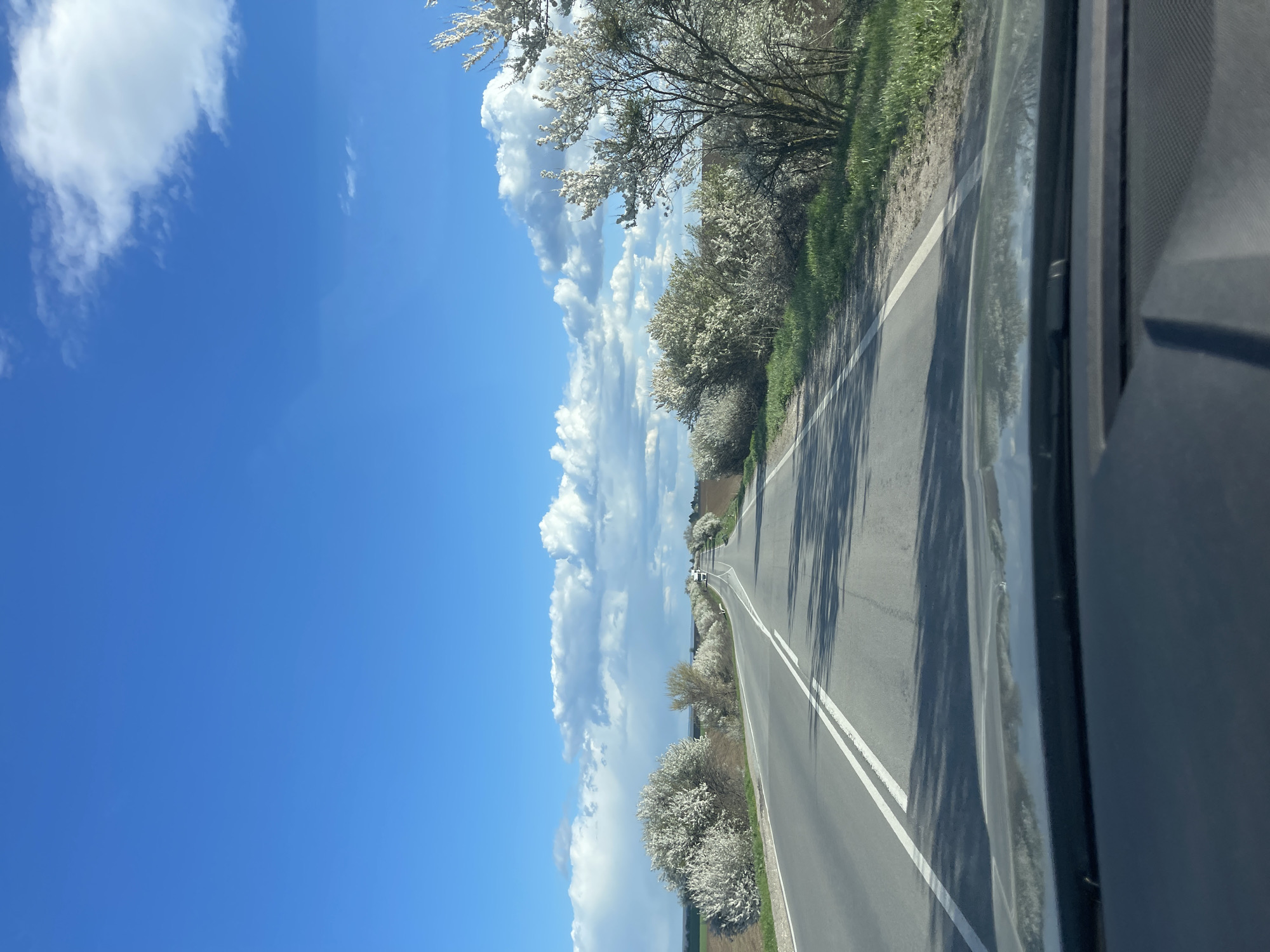 The image shows a road near Pisanets, Bulgaria. The road has two white dividing lines and is lined with flowering trees and green grass on either side. A blue sky with fluffy white clouds is visible. The photo appears to have been taken from inside a car.