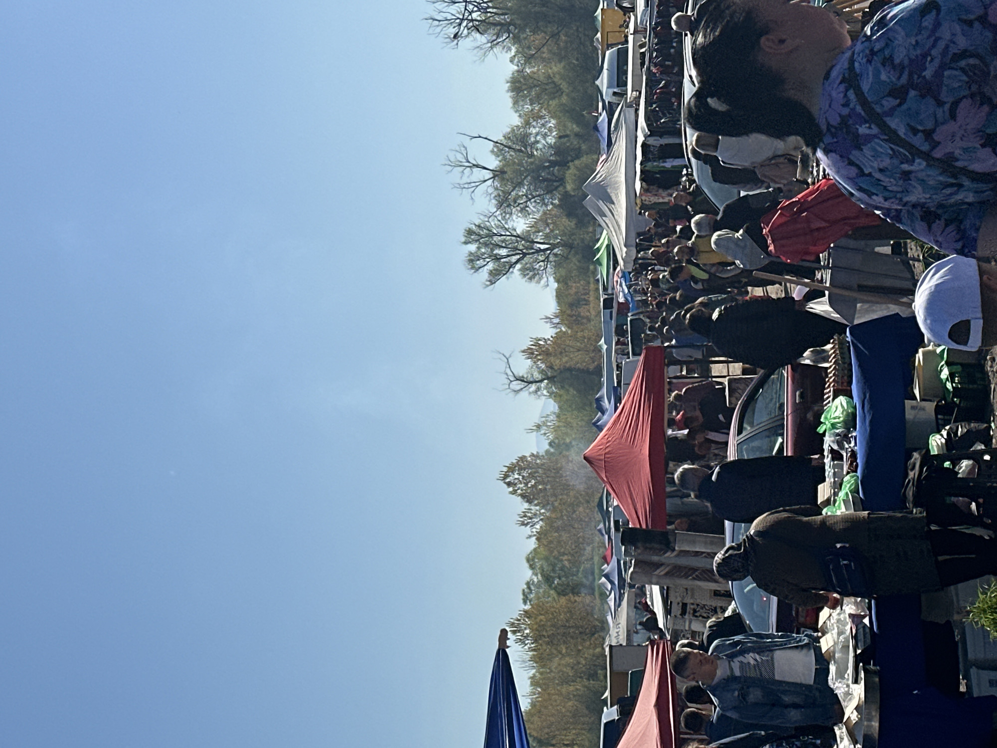 The image depicts a crowded outdoor market located in Dolni Bogrov, Bulgaria. A variety of tents and canopies are visible, sheltering vendors and shoppers. Many people are present, browsing and interacting at the stalls. The surrounding environment includes trees and vehicles, suggesting a rural or suburban setting. The sky is clear and blue, indicating a sunny day.