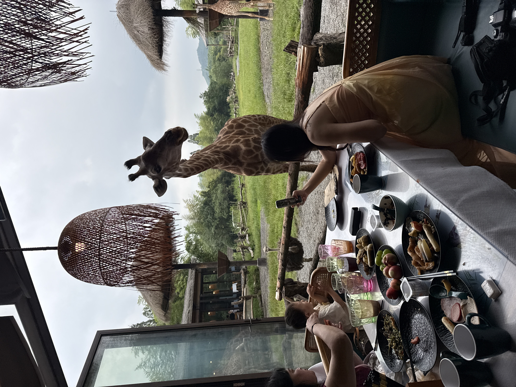 In Wuxing District, China, at a restaurant adjacent to a wildlife enclosure, a family dines at a table. A woman in a peach-colored dress uses her phone to photograph a giraffe that is reaching its head over a wooden fence towards the table. Next to her, a child sits in a chair, facing the table. On the table are various dishes of food, drinks in colorful glasses, and cutlery. In the background, several other giraffes are visible in a grassy enclosure with scattered trees and thatched-roof structures. An ostrich stands near the fence. The setting appears to be an open-air dining area with a partial view of the surrounding landscape.