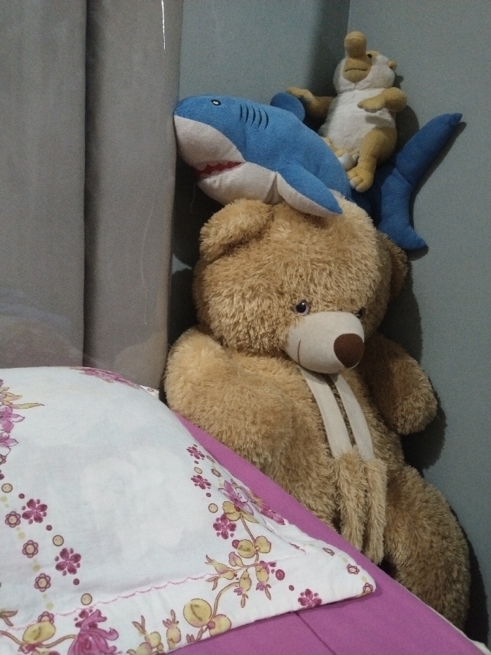Memory