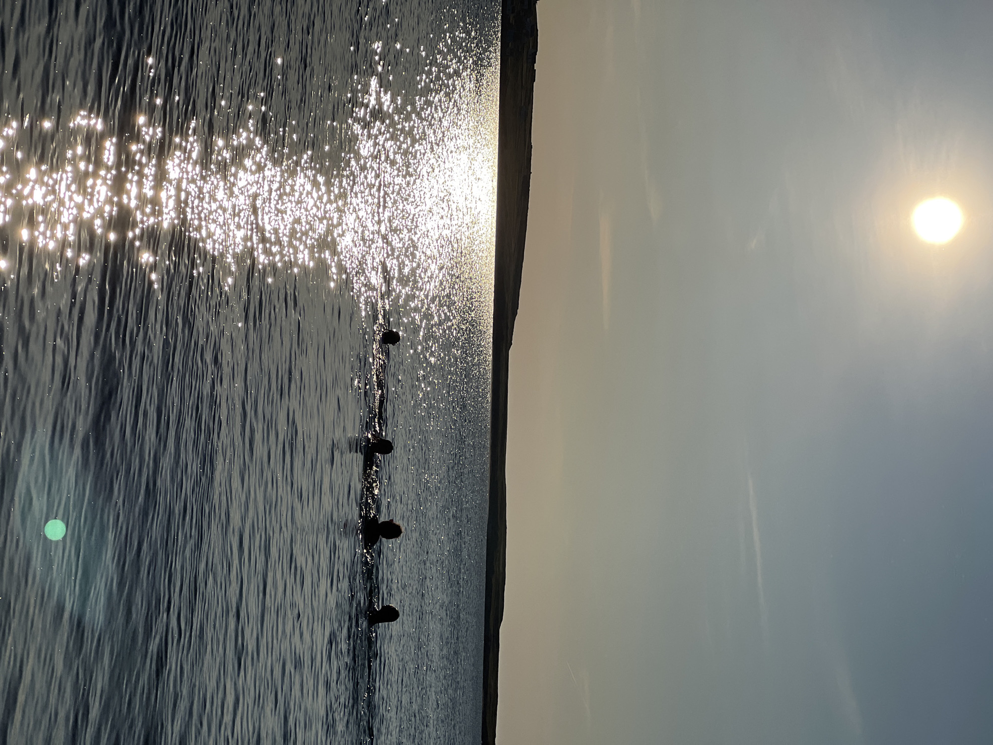 The image captures a serene natural scene at the waterside in Lunniaghbeg, Ireland, under a bright, low-hanging sun. The sun, a brilliant orb positioned in the upper left quadrant, casts a strong, glittering reflection across the dark water, creating a path of shimmering light that stretches towards the foreground. The water itself is calm, with gentle ripples disturbing its surface.
In the middle ground of the image, silhouetted against the bright reflection, are five individuals swimming or wading in the water. Their heads and shoulders are visible above the surface, appearing as dark, indistinct shapes. They are positioned across the water, spaced a few feet apart, suggesting they are engaged in a leisurely activity.
The background is dominated by a low, undulating landmass, likely a hill or coastline, also silhouetted against the hazy sky. The sky itself is a pale, gradient blue, with faint, wispy clouds. The overall atmosphere is tranquil and natural, evoking a sense of peace and the enjoyment of outdoor recreation.