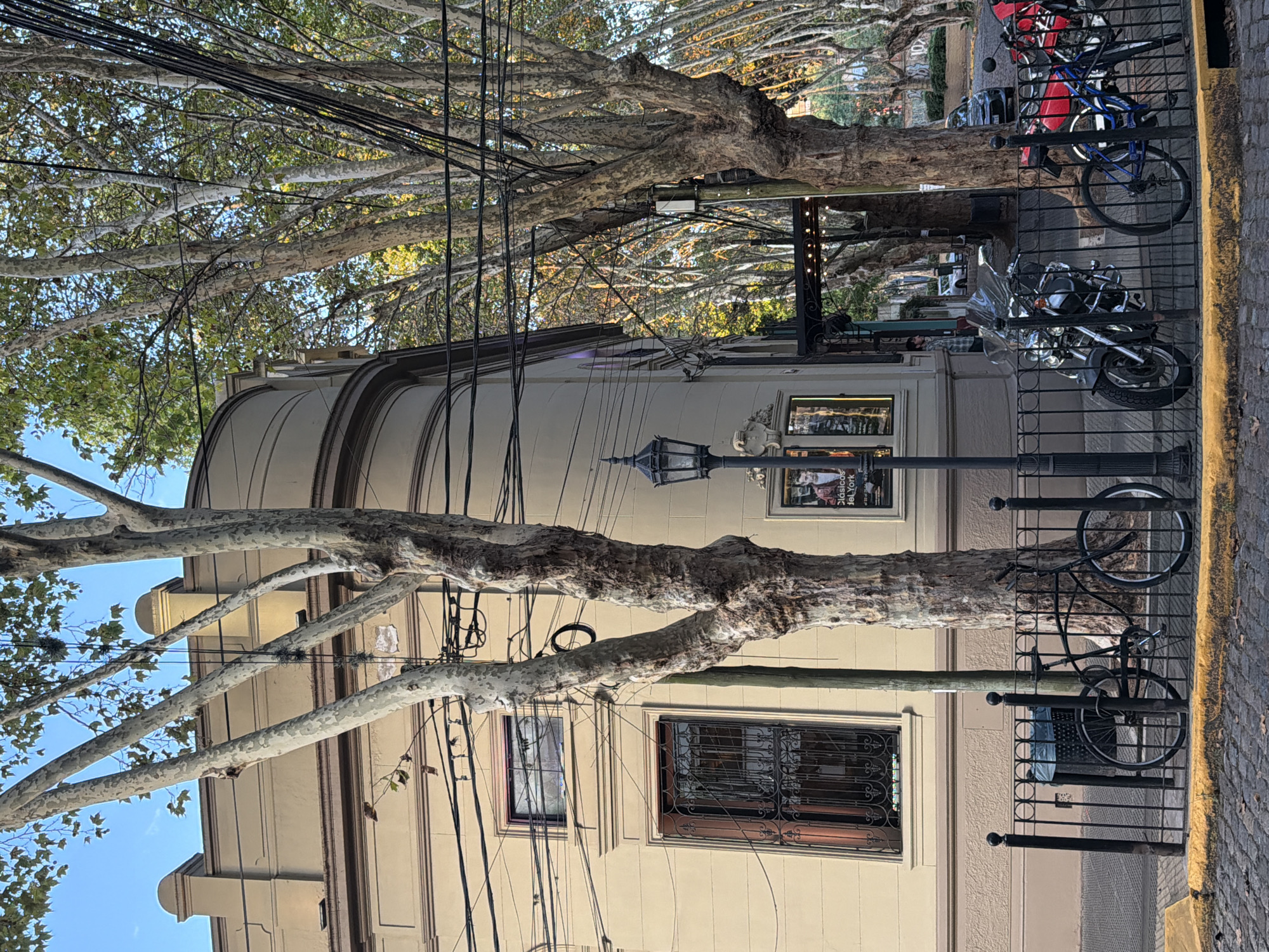 The scene captures a section of a street in Vicente López, Argentina. A cream-colored building with rounded architectural details is prominent on the left. Two trees with distinctive mottled bark stand in the foreground, their branches stretching across the frame and obscuring parts of the building. Numerous utility lines crisscross the sky between the trees. A black wrought iron fence separates the building from the street. Bicycles, including a blue one, and a motorcycle are parked behind the fence. A lamppost and signage are also visible. The sidewalk is paved with cobblestones.